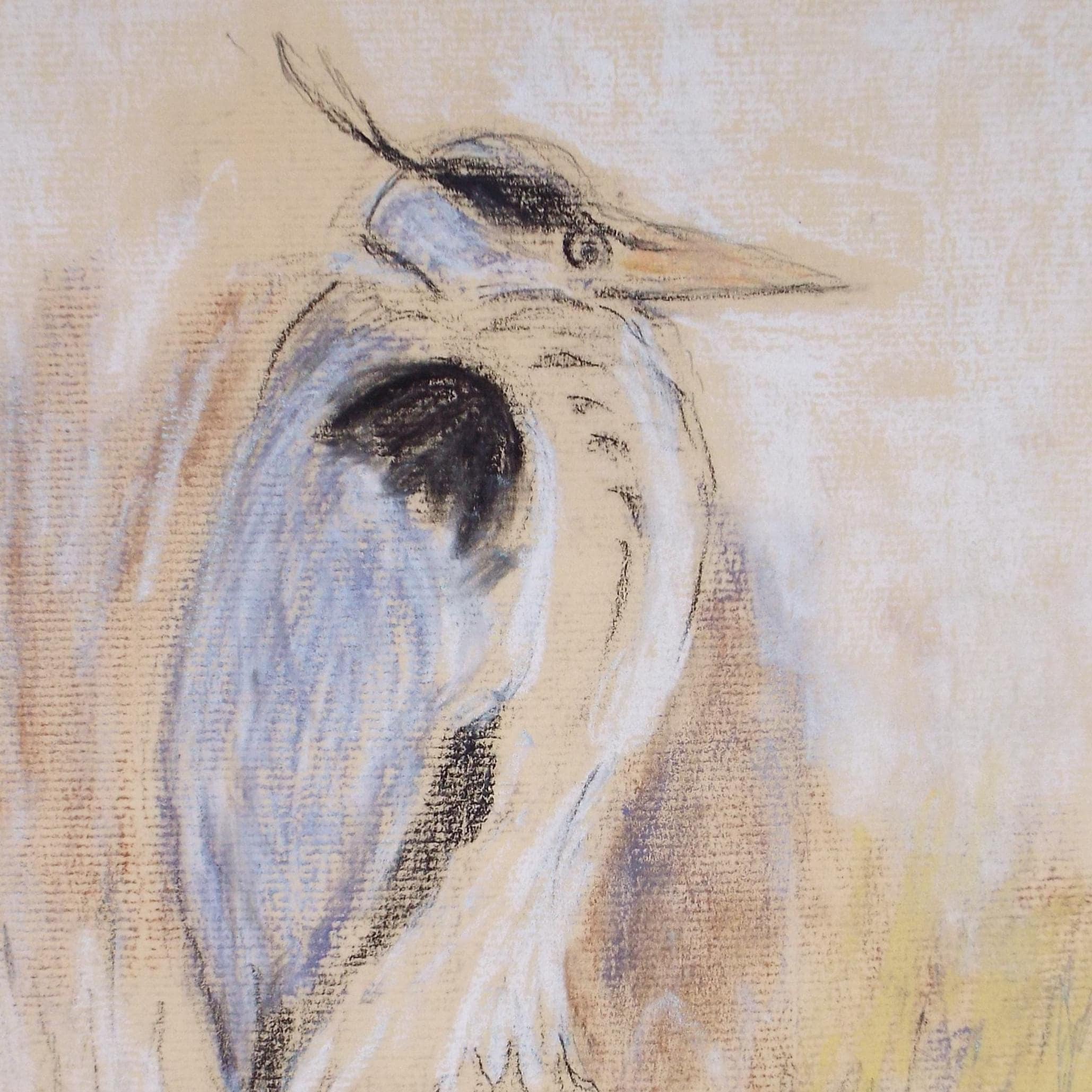 Original Pastel 'Heron Study', Circa 1980's, Artist Unknown