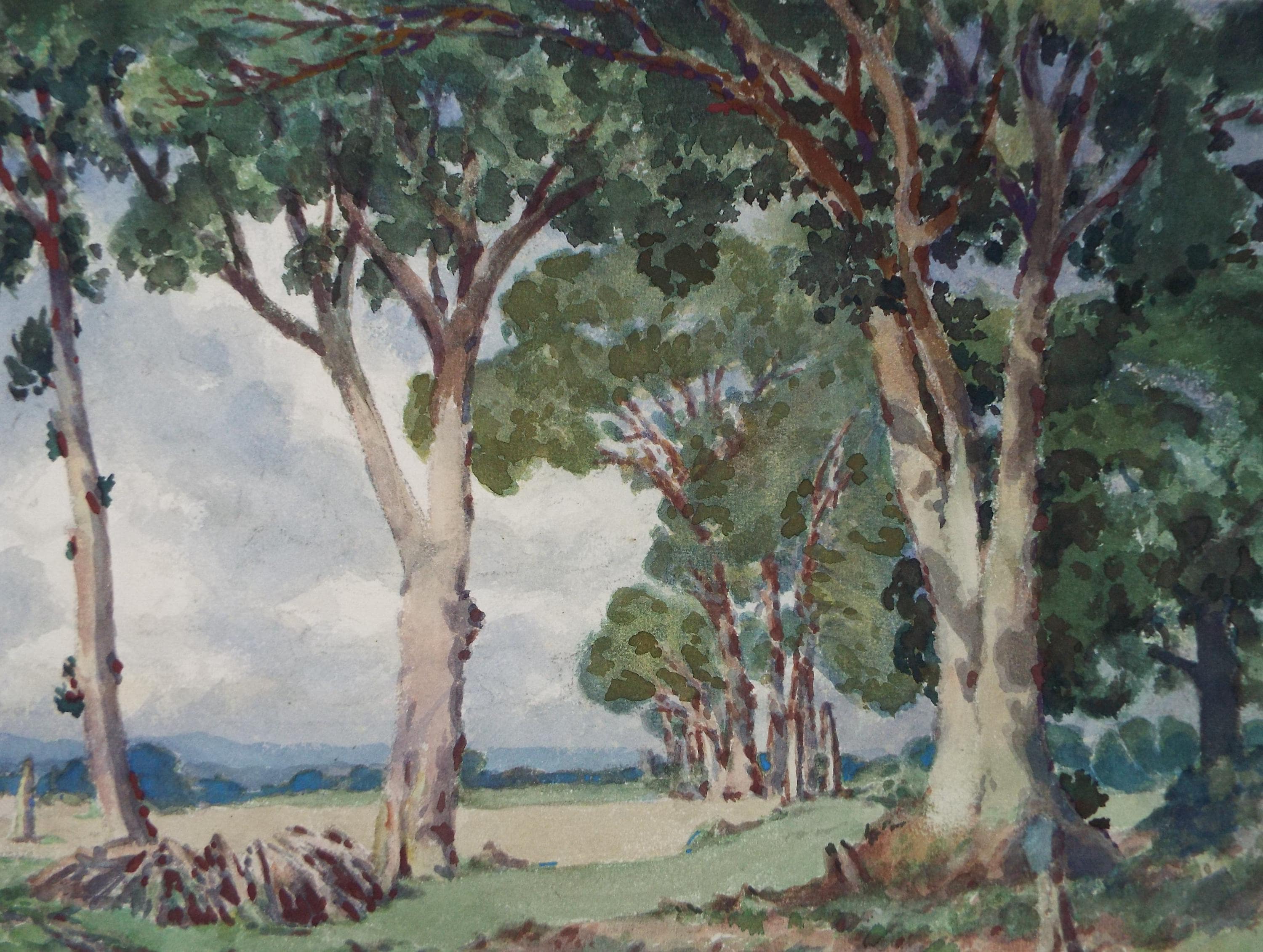 Original Watercolour, 'Trees on a field margin', Henry Potter Stevens (1875-1965), Dated 1959
