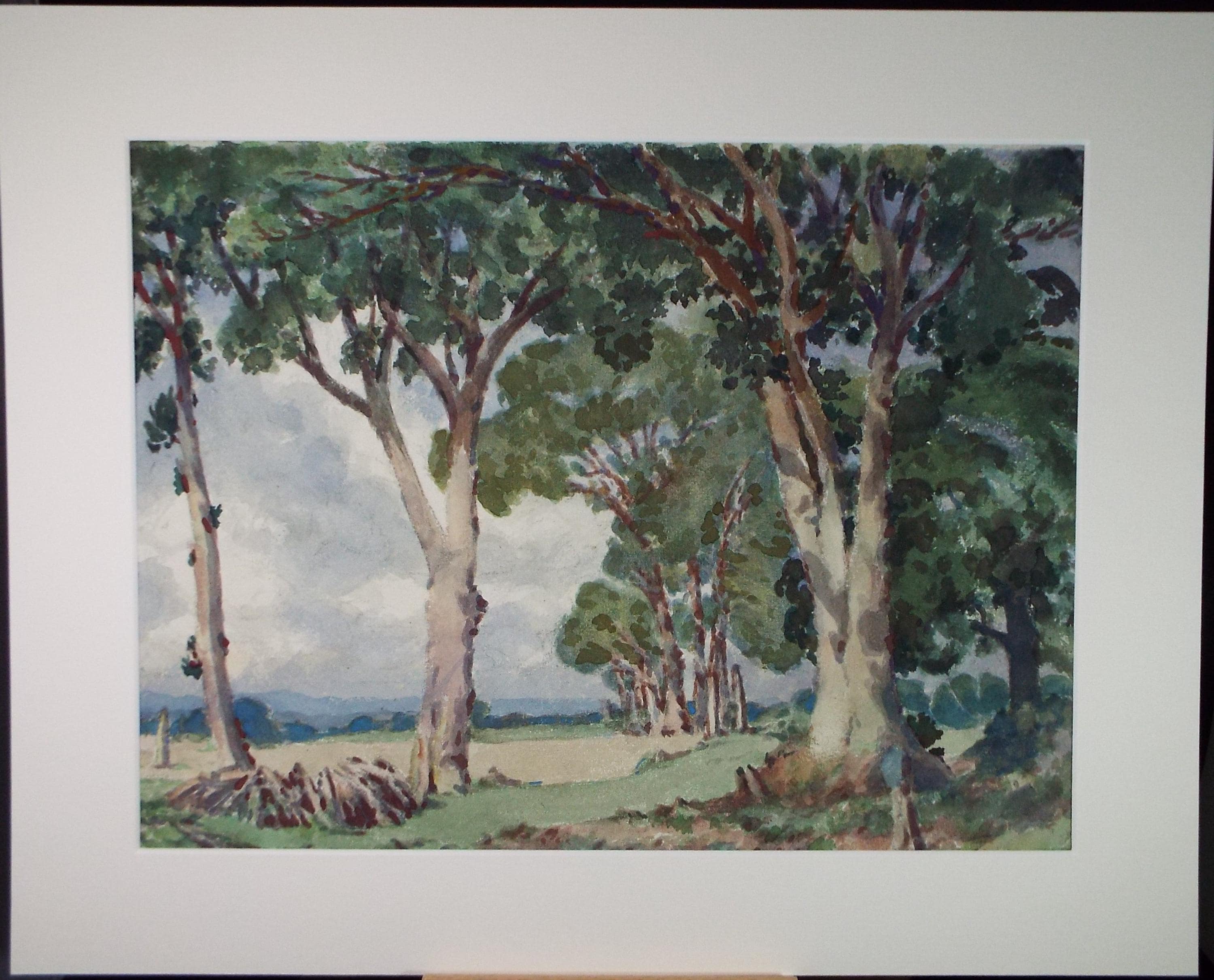 Original Watercolour, 'Trees on a field margin', Henry Potter Stevens (1875-1965), Dated 1959