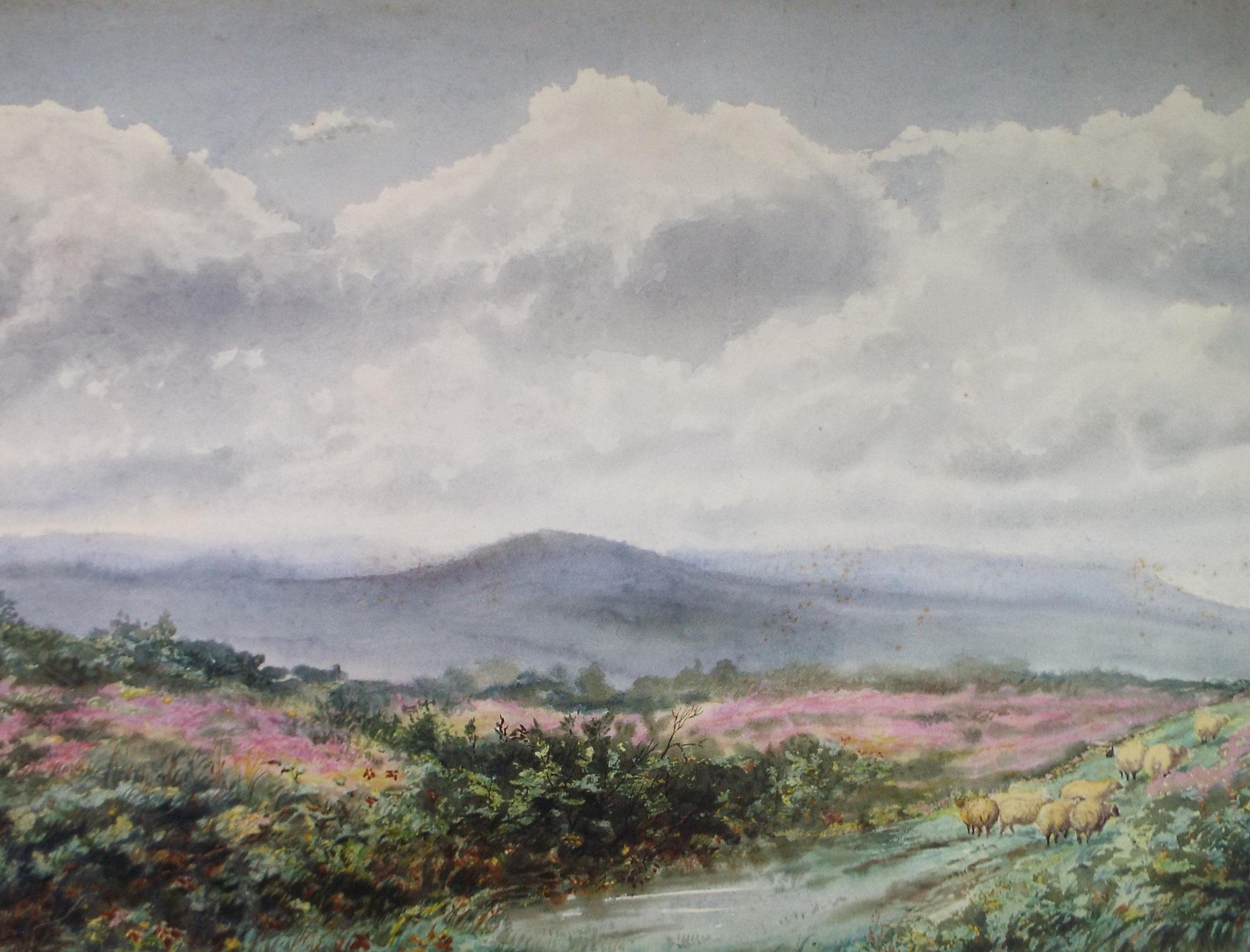 Original Watercolour, 'Sheep in a Landscape', Early 20th Century Artist Unknown