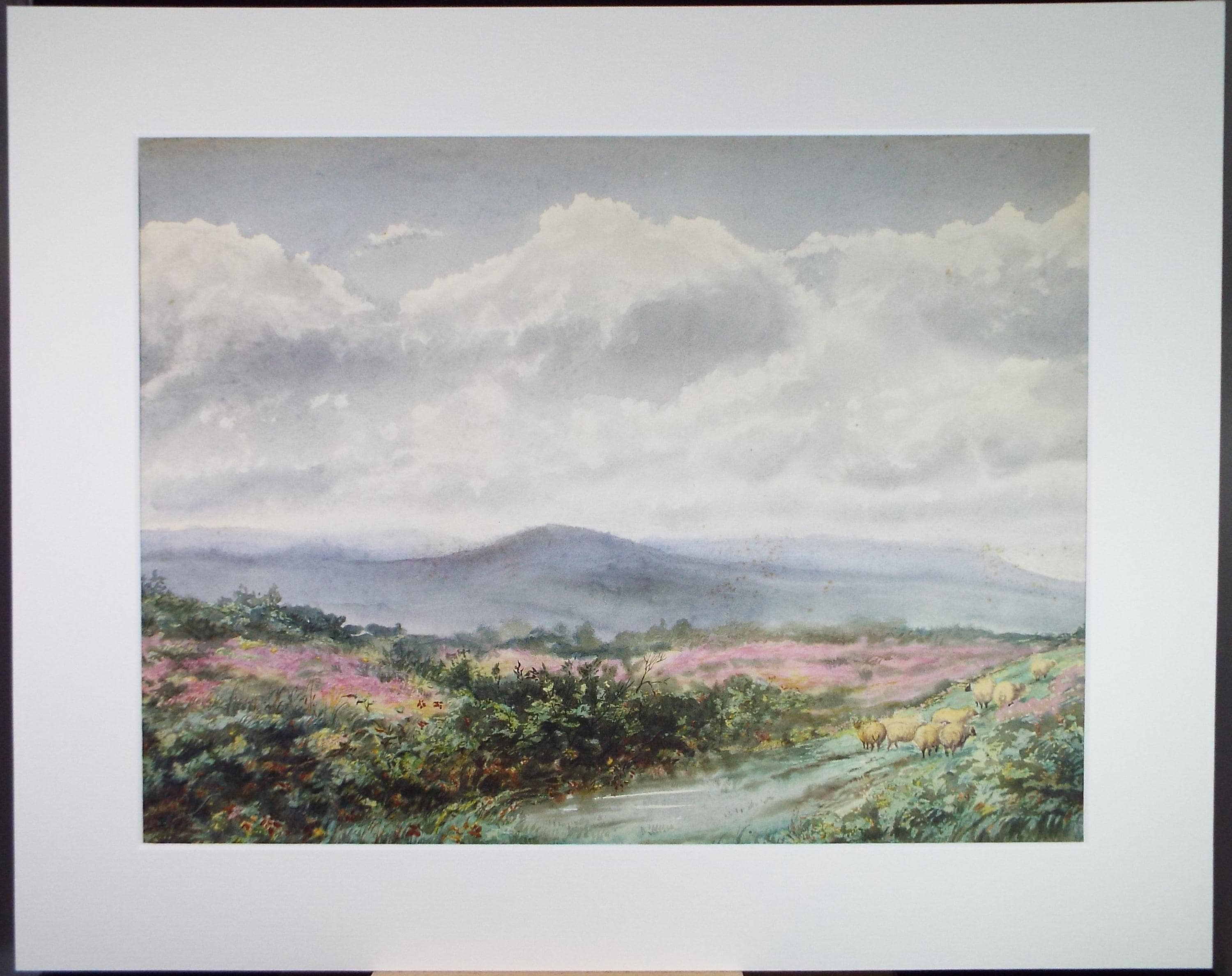 Original Watercolour, 'Sheep in a Landscape', Early 20th Century Artist Unknown