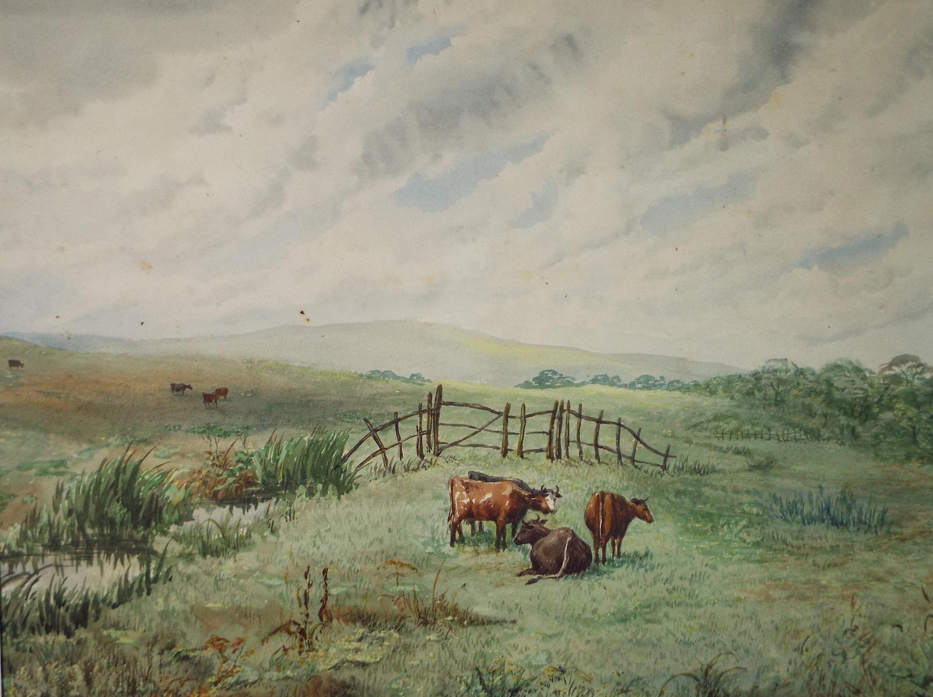 Original Watercolour, 'Cattle in a landscape',Early 20th Century, Unknown Artist