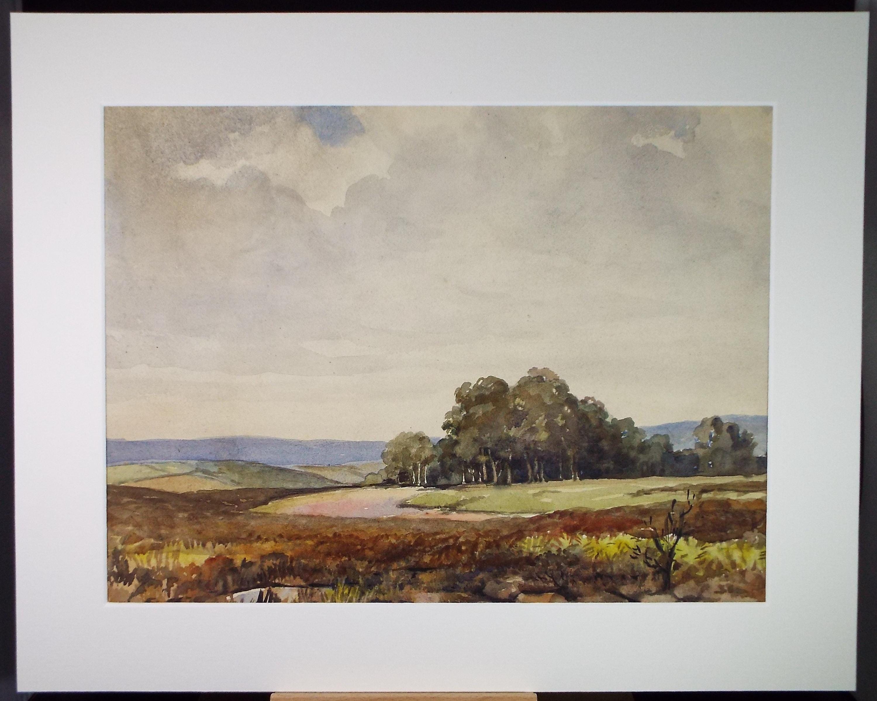 Original Watercolour, 'Woodland in a Landscape', Circa 1950's, Artist Unknown
