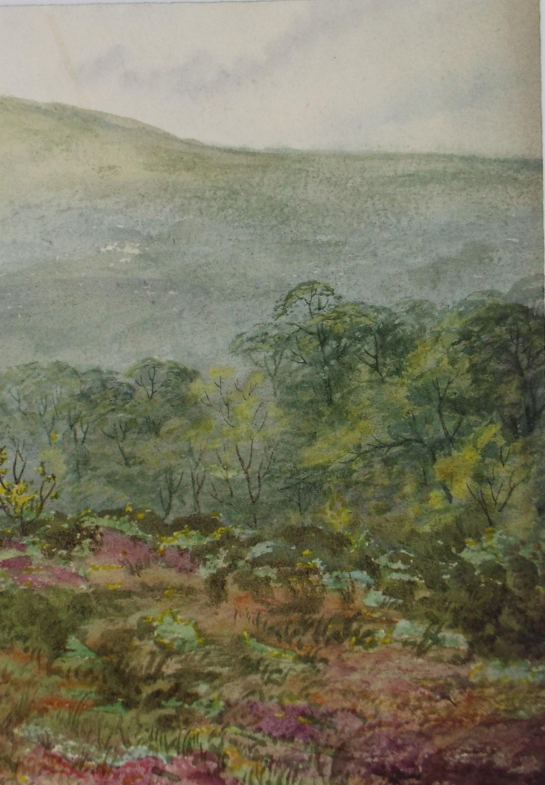 Original Watercolour, 'Green Landscape', Unknown artist, Late 19th Century