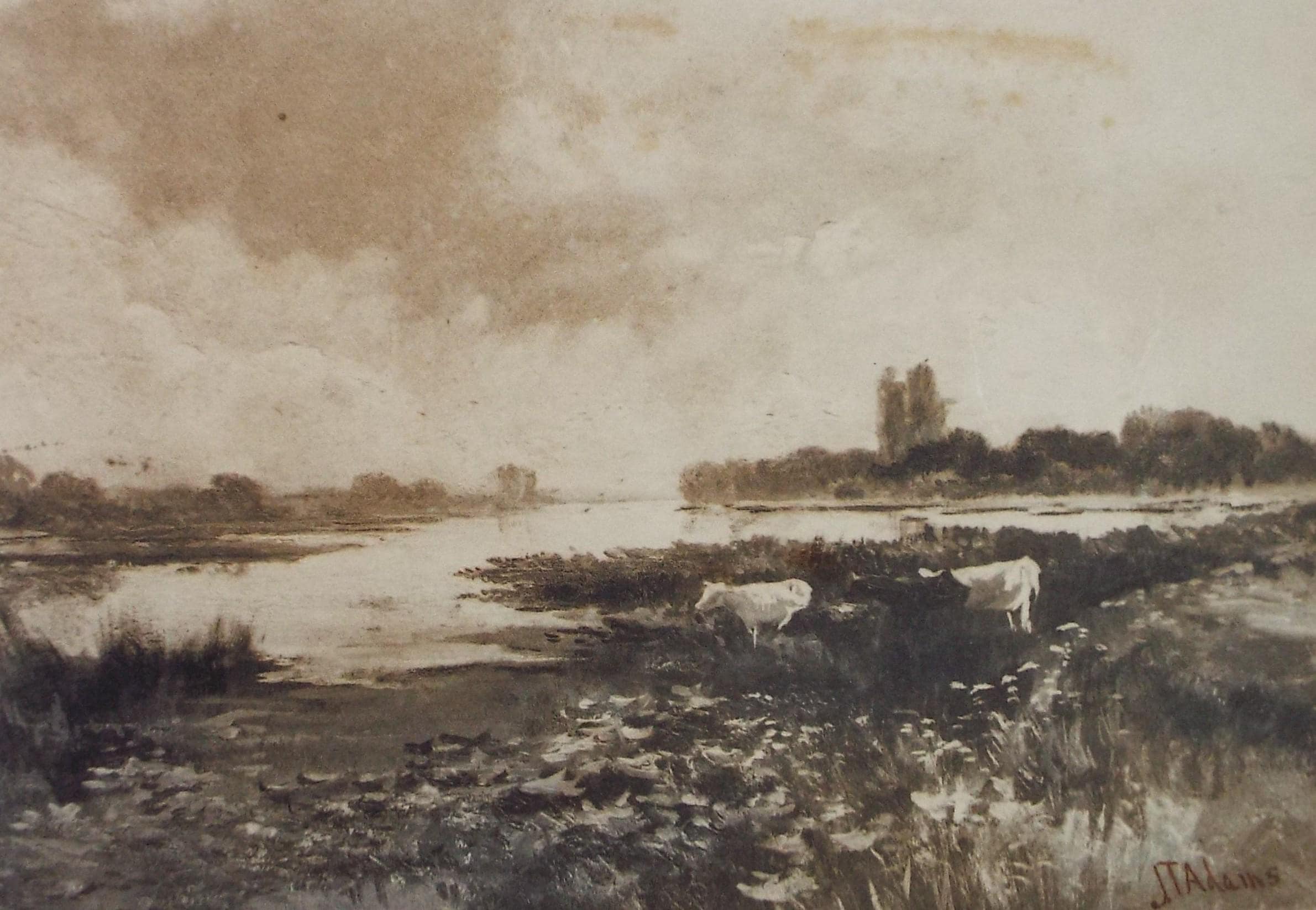 Original Watercolour, 'Cattle on a water meadow', Late 19th Century, J T Adams