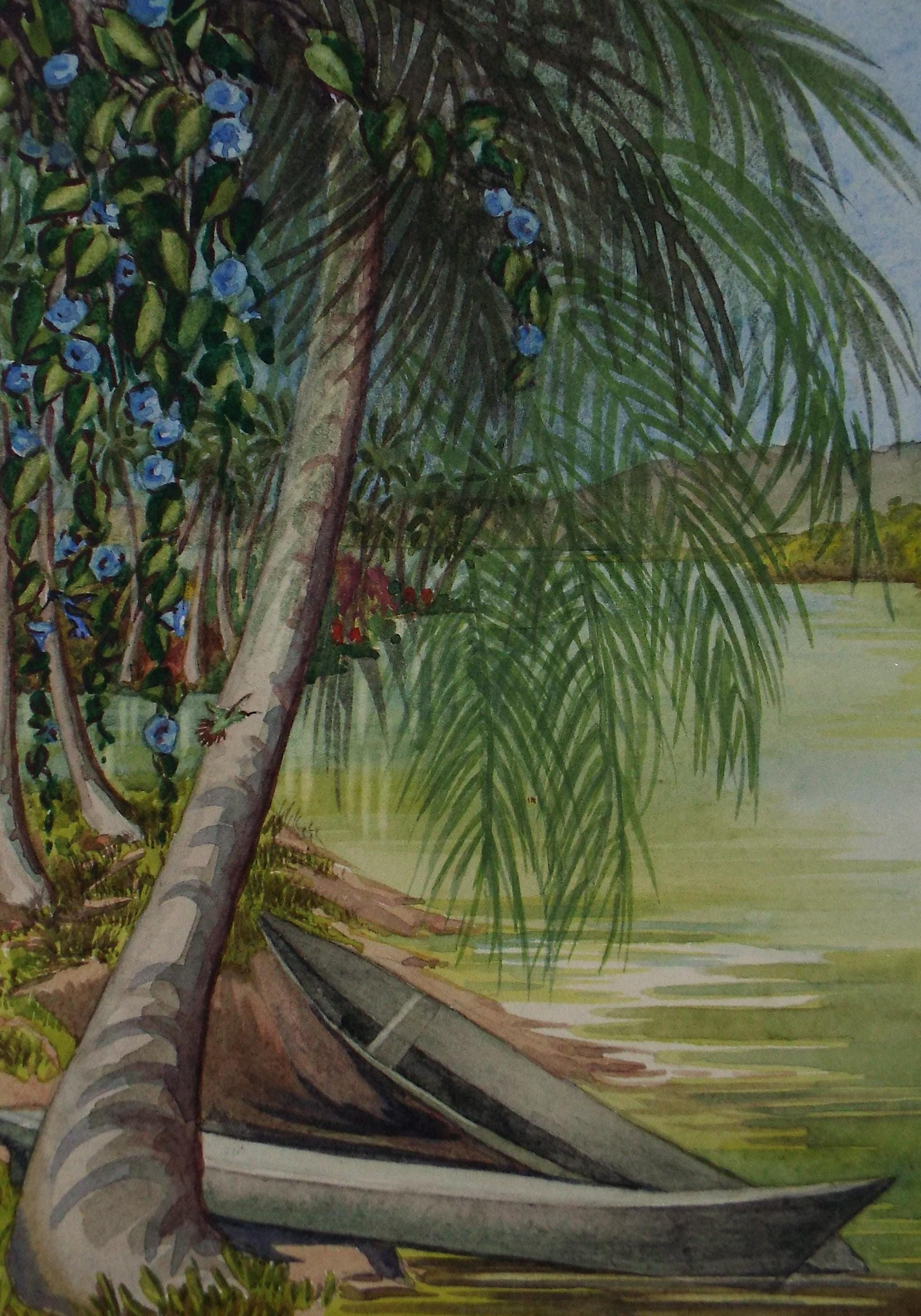 Original Watercolour, 'Dug-outs and Humming birds, Almirante', Circa 1950's, Ivy T. Attwell (1895-1985)
