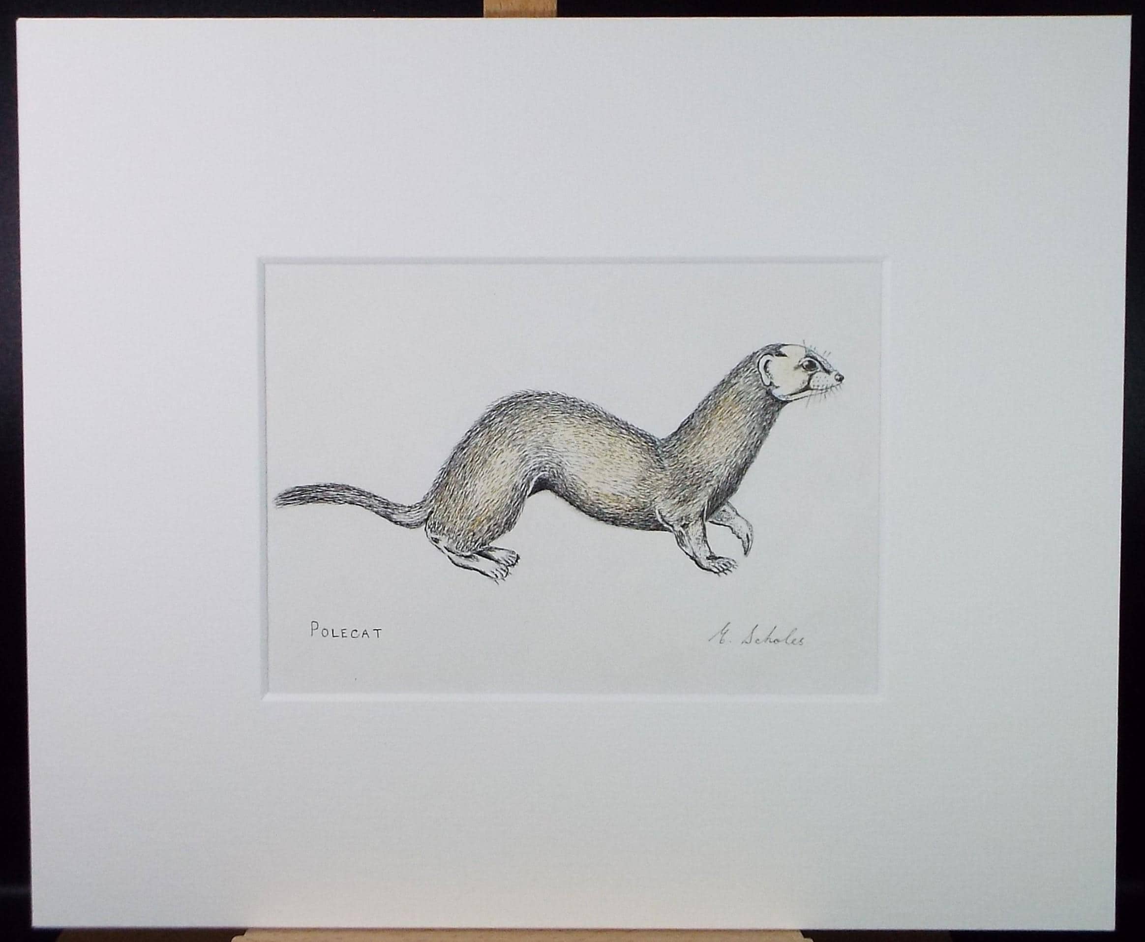 Original Pen & Pencil, 'Polecat', Circa 1970's , E Scholes