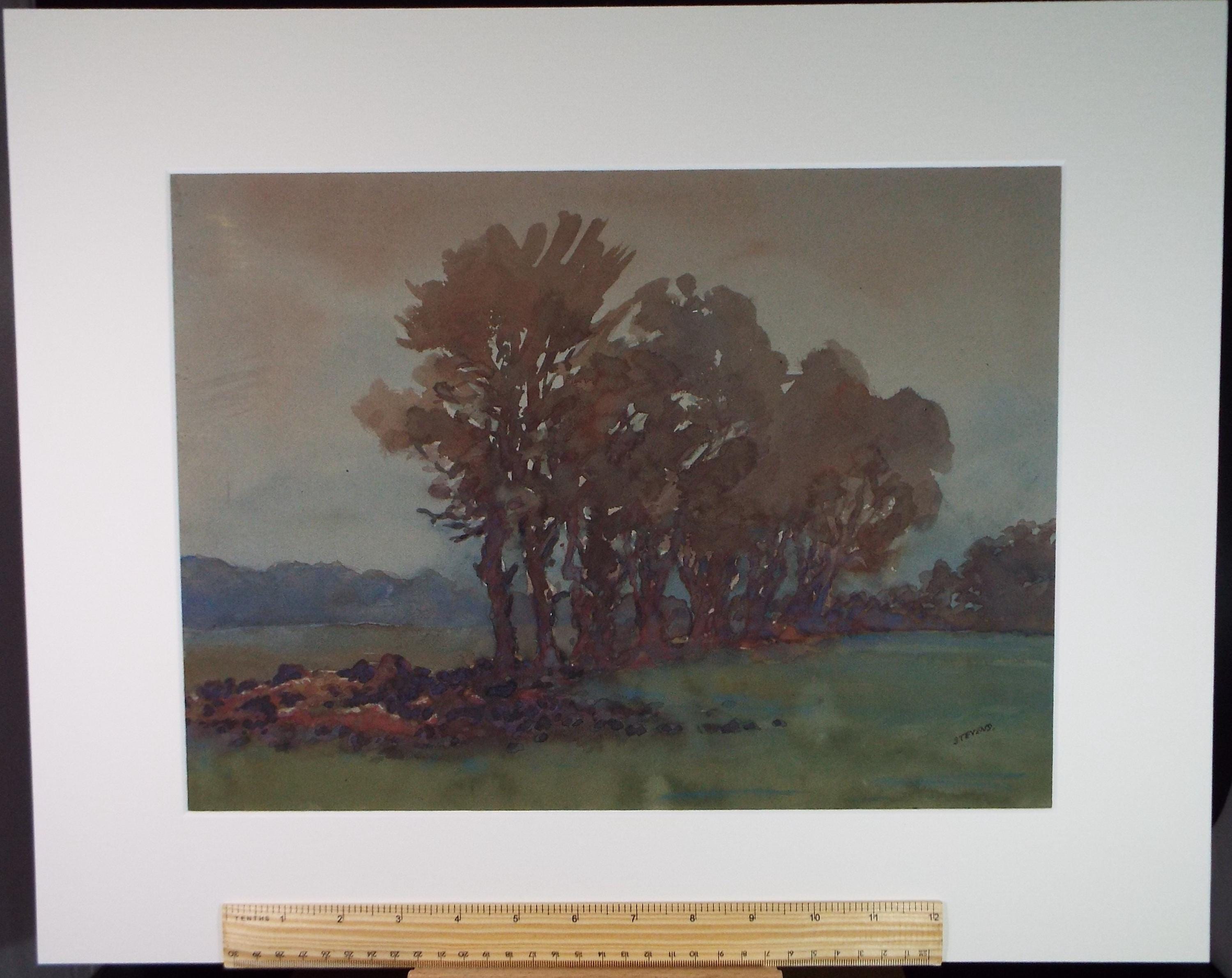 Original Watercolour, 'Trees in late Autumn', Henry Potter Stevens (1875-1965), Circa 1940's