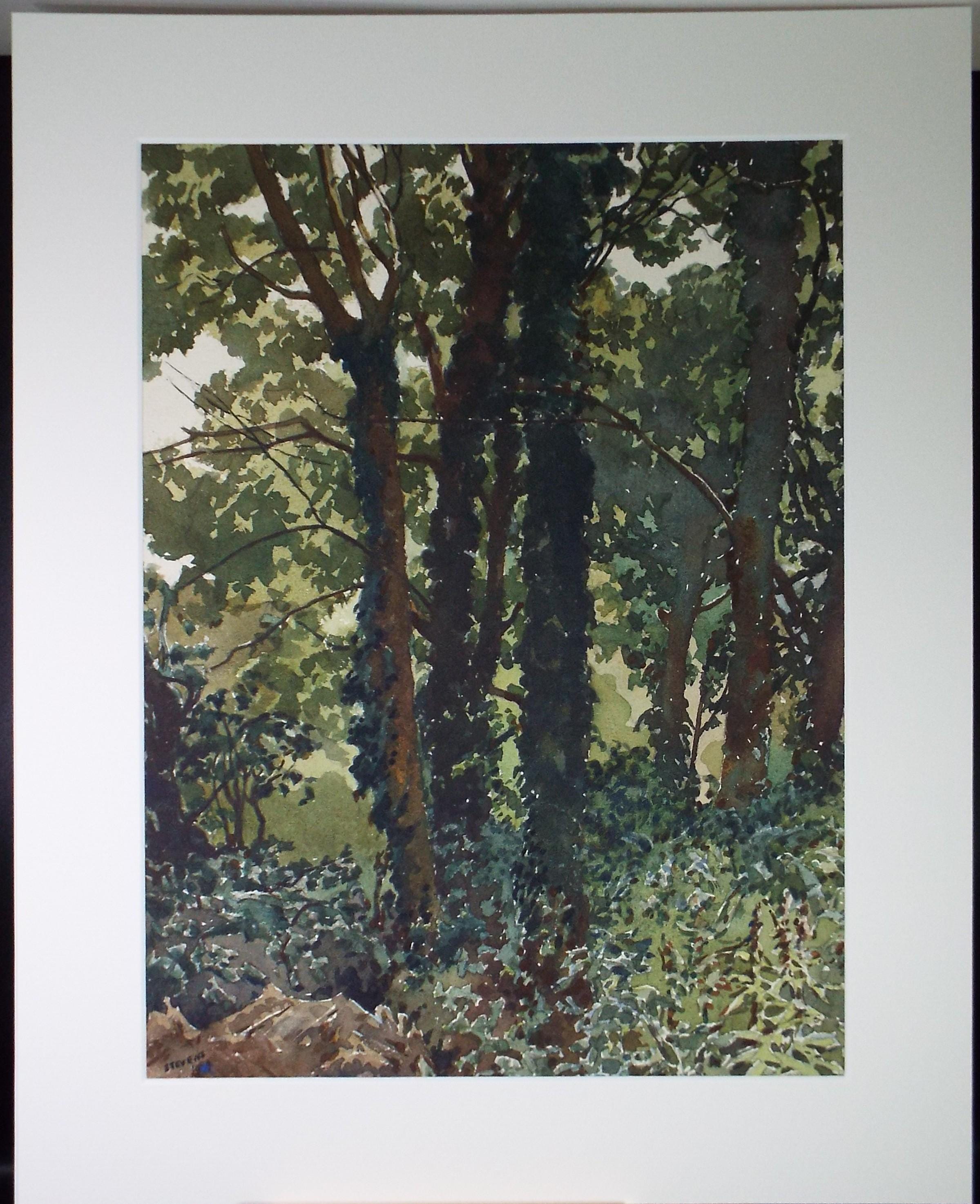 Original Watercolour, 'Study of Trees', Henry Potter Stevens (1875-1965) Dated 1959