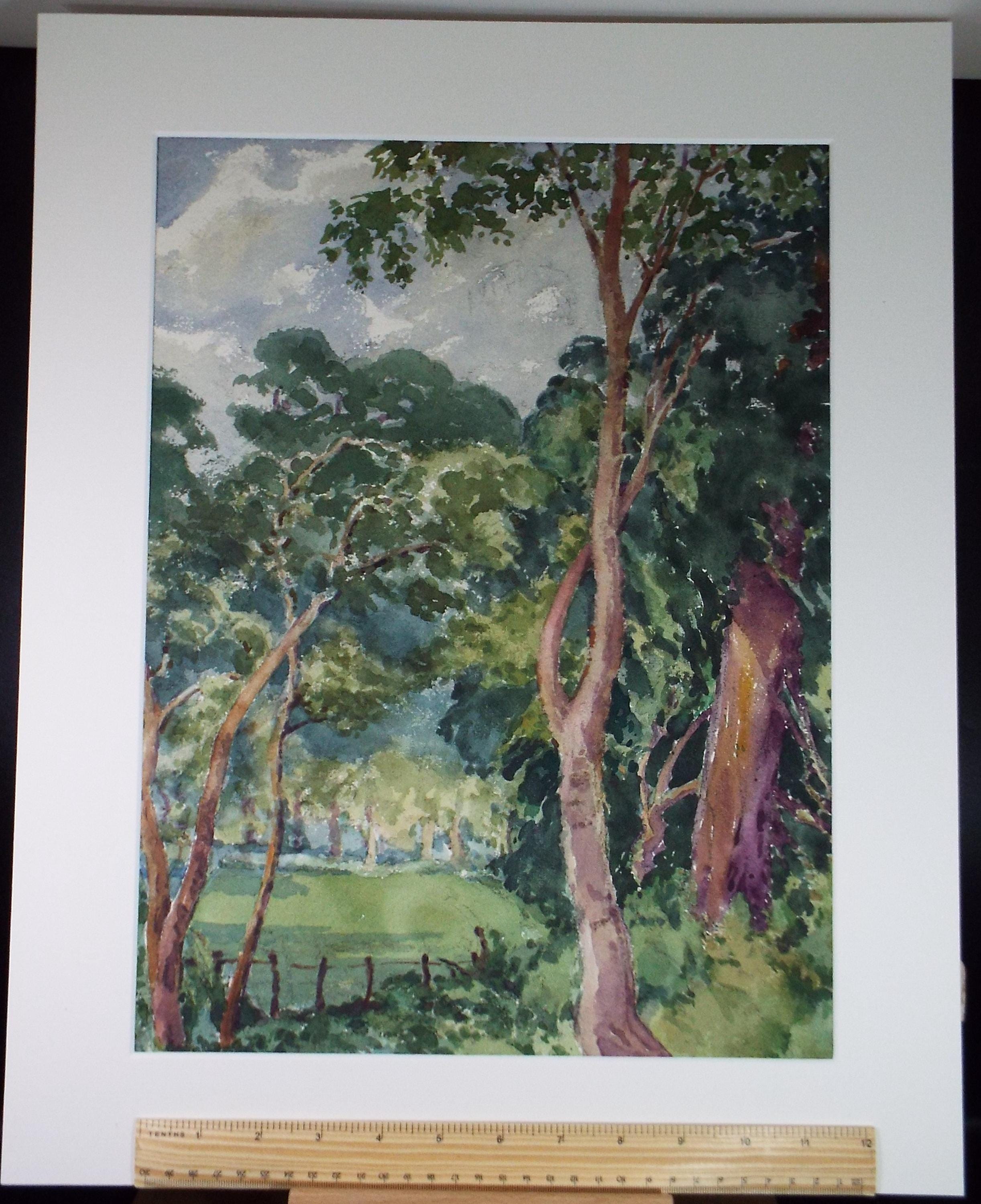 Original Watercolour, 'Trees on a field margin', Henry Potter Stevens (1875-1965) Circa 1950's