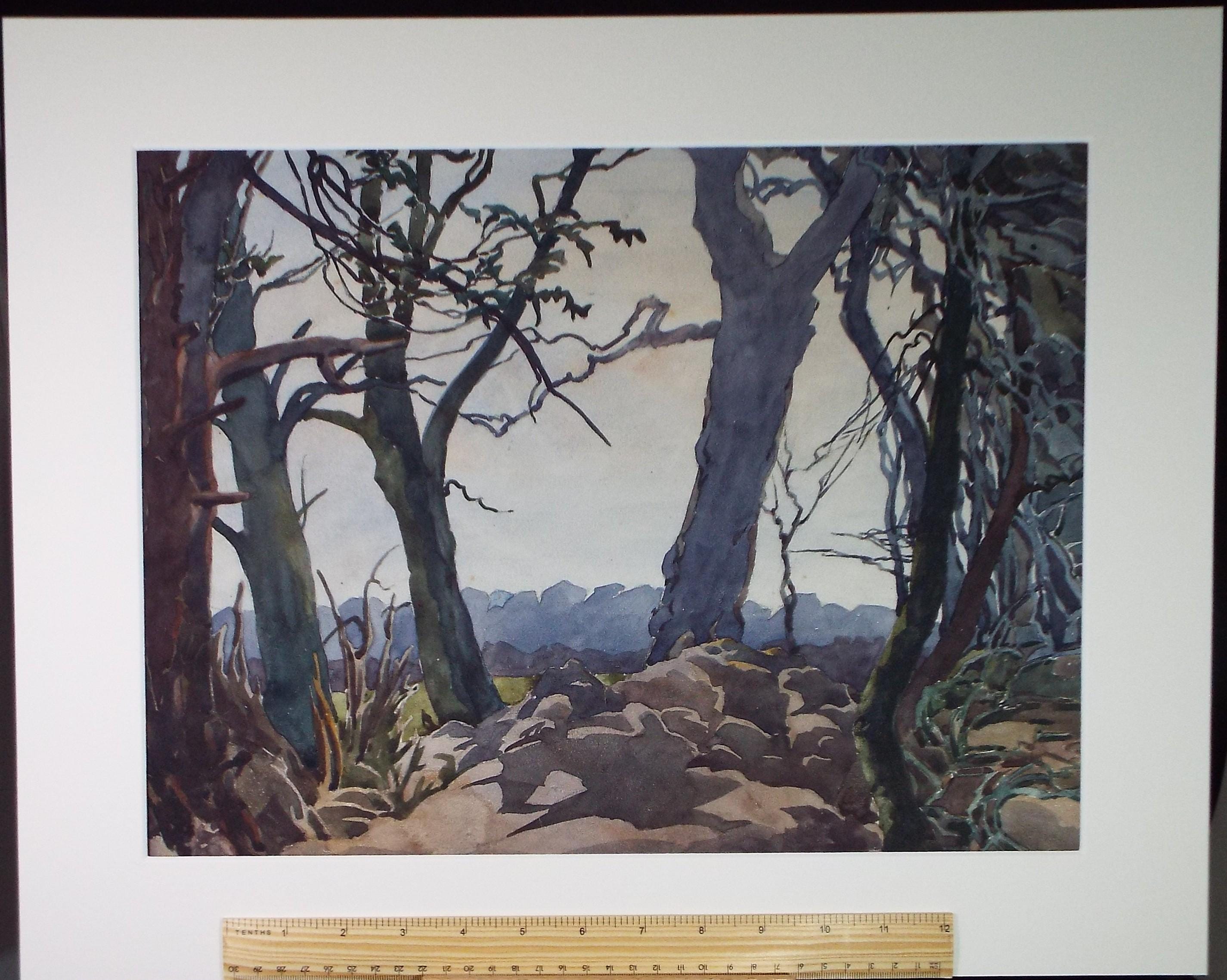 Original Watercolour, 'Stange Woodland', Henry Potter Stevens (1875-1965) Circa 1950's