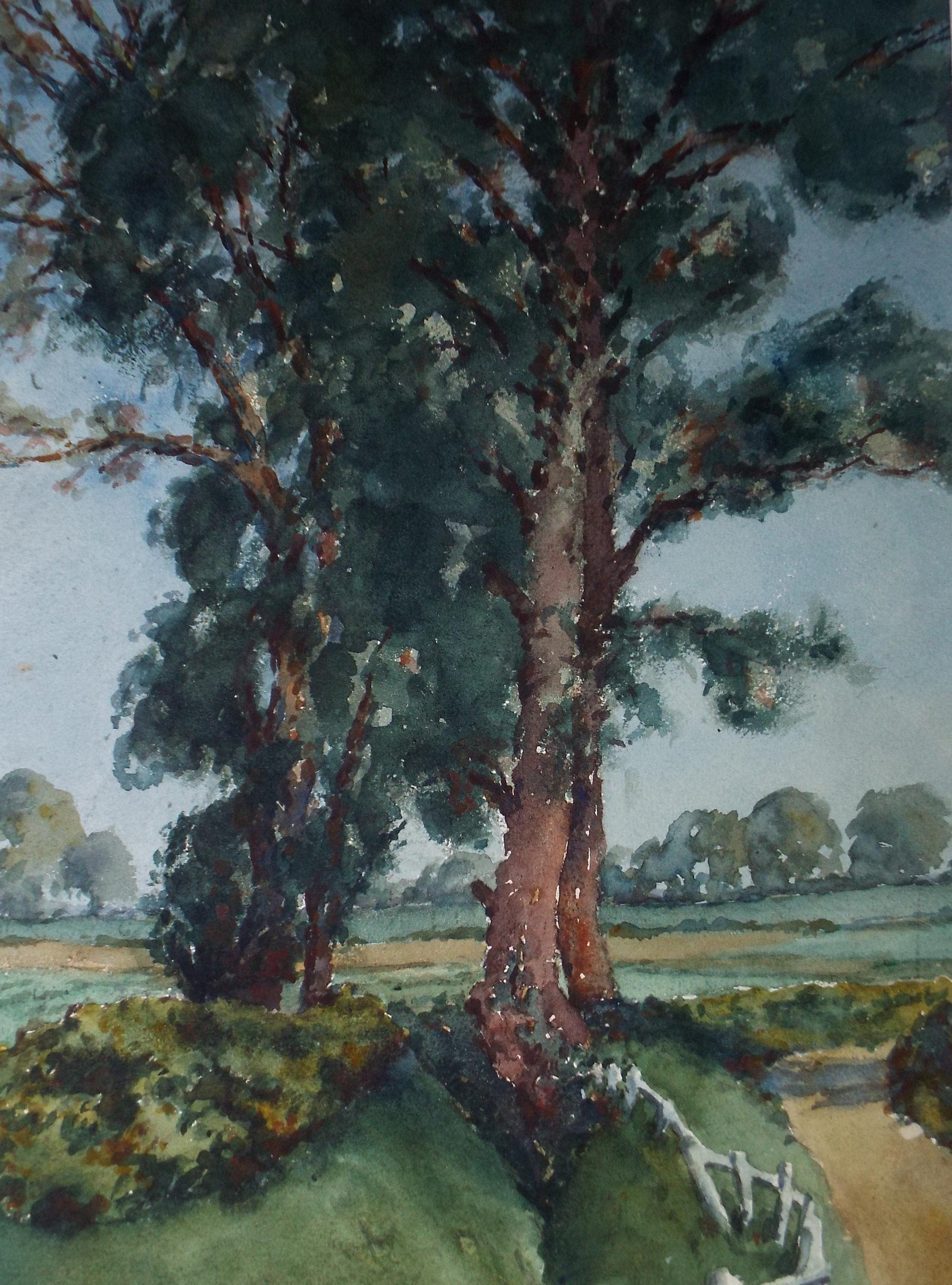 Original Watercolour, 'Tree Study', Henry Potter Stevens (1875-1965) Circa 1950's