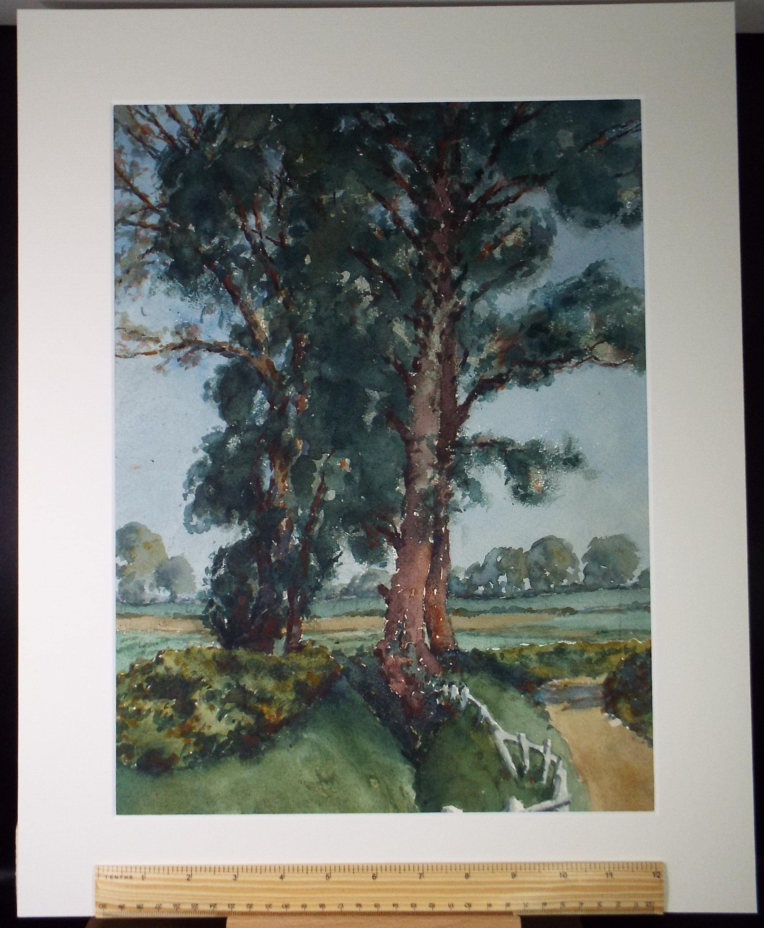 Original Watercolour, 'Tree Study', Henry Potter Stevens (1875-1965) Circa 1950's
