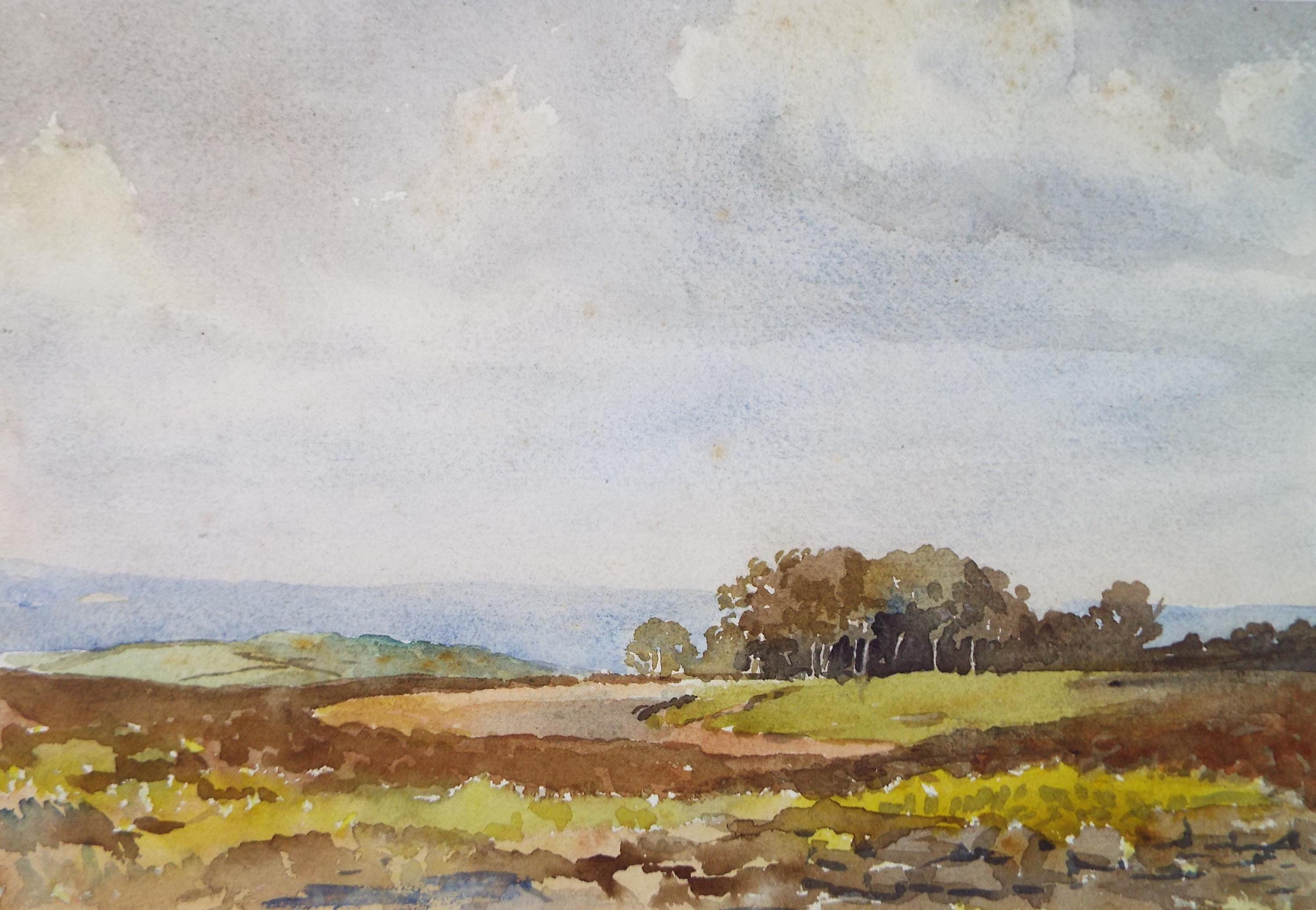 Original Watercolour drawing, 'Copse in a valley', Artist Unknown, circa 1920's