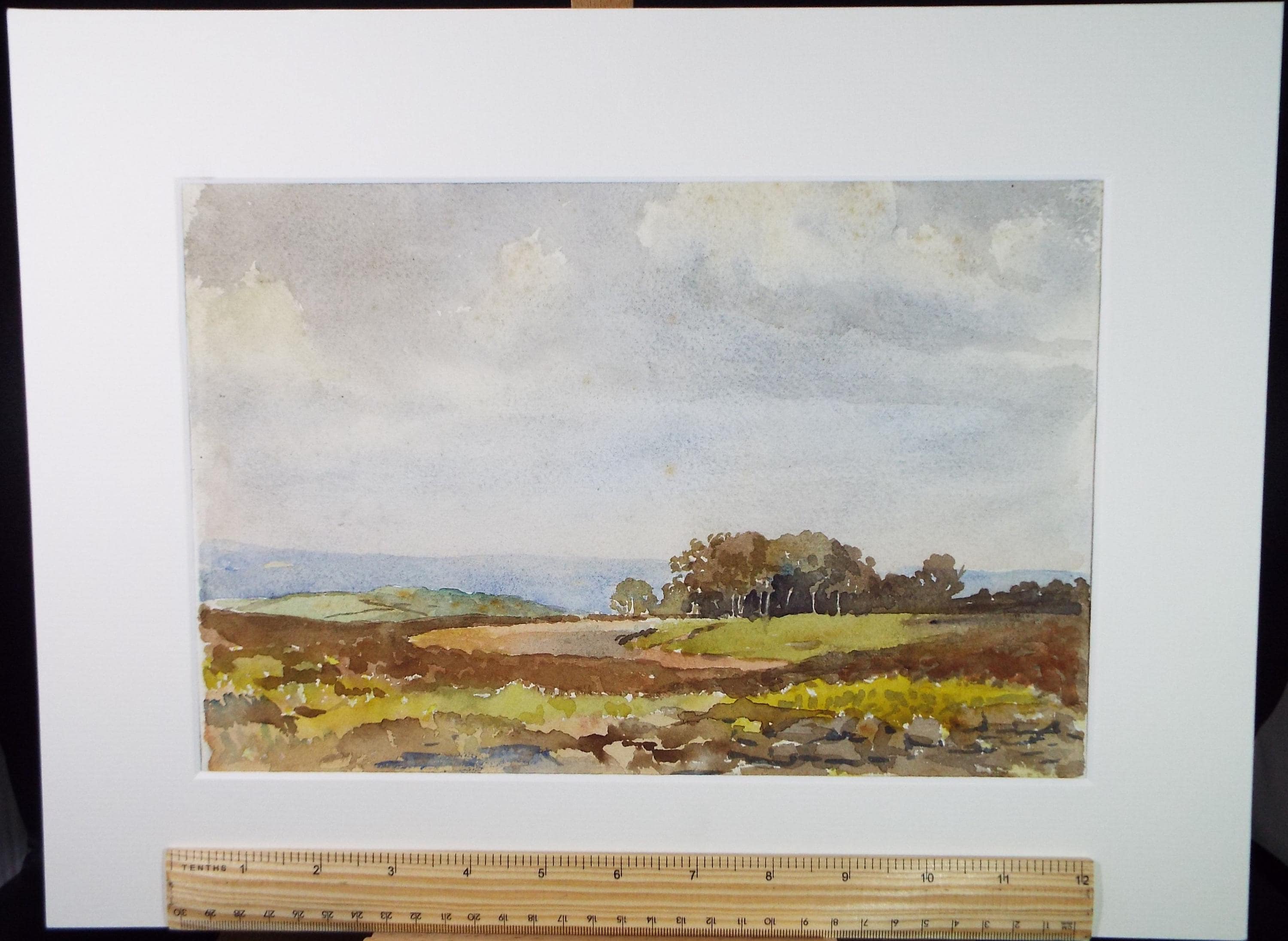 Original Watercolour drawing, 'Copse in a valley', Artist Unknown, circa 1920's
