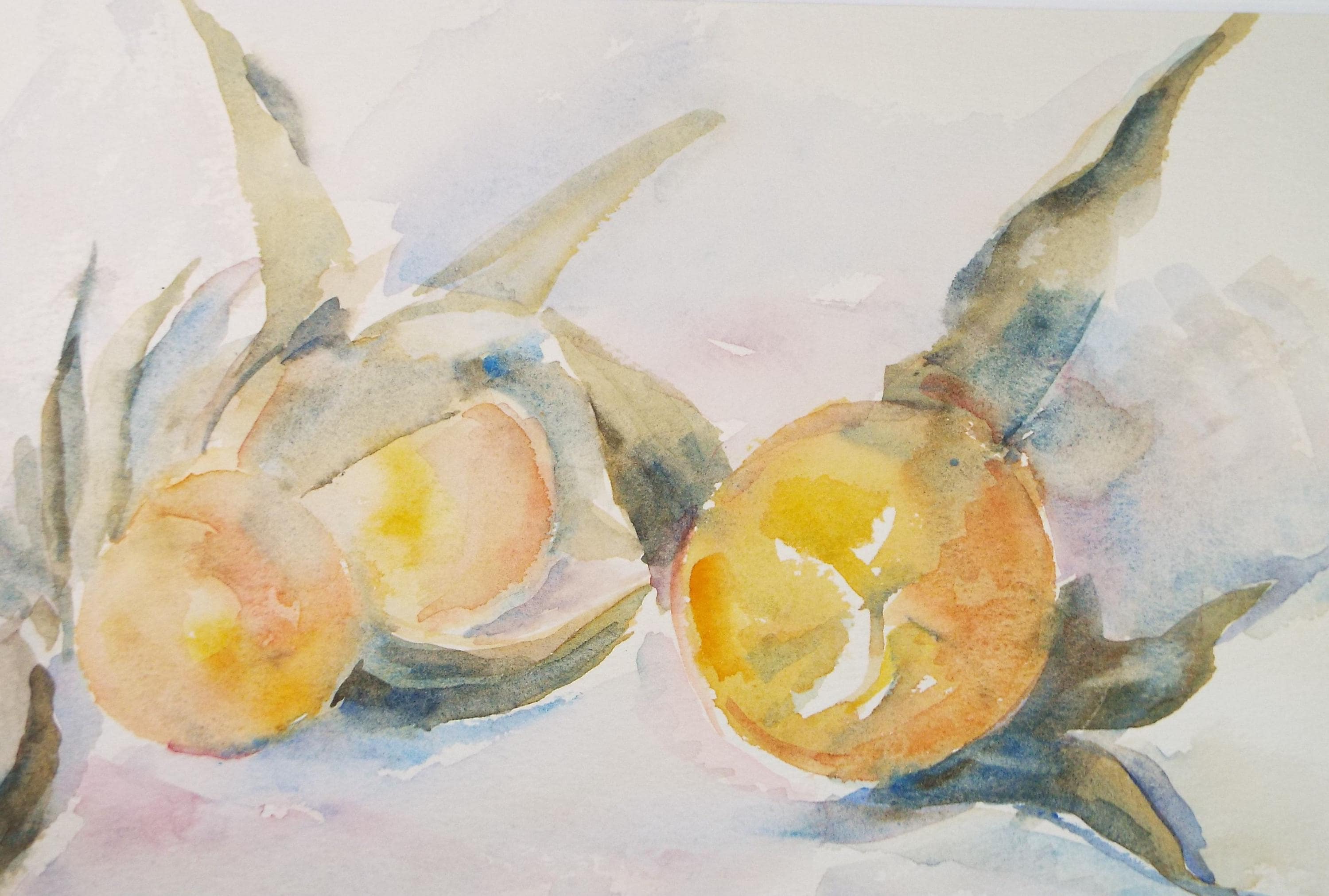 Original Watercolour 'Still life of Citrus Fruit', Dated 1974, Mildred Lockyer