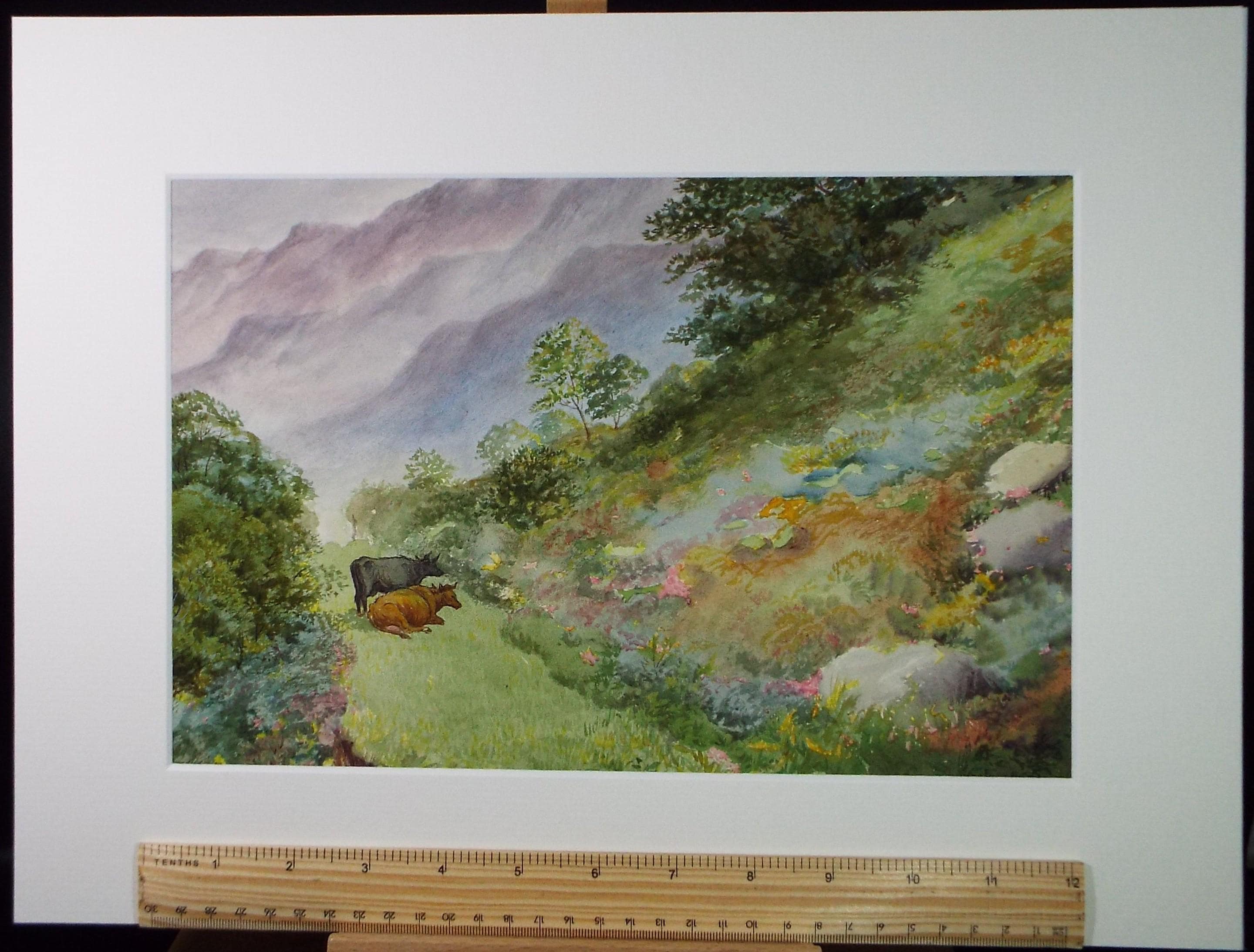 Original Watercolour, 'Cattle Grazing, Circa 1900, Unknown Artist