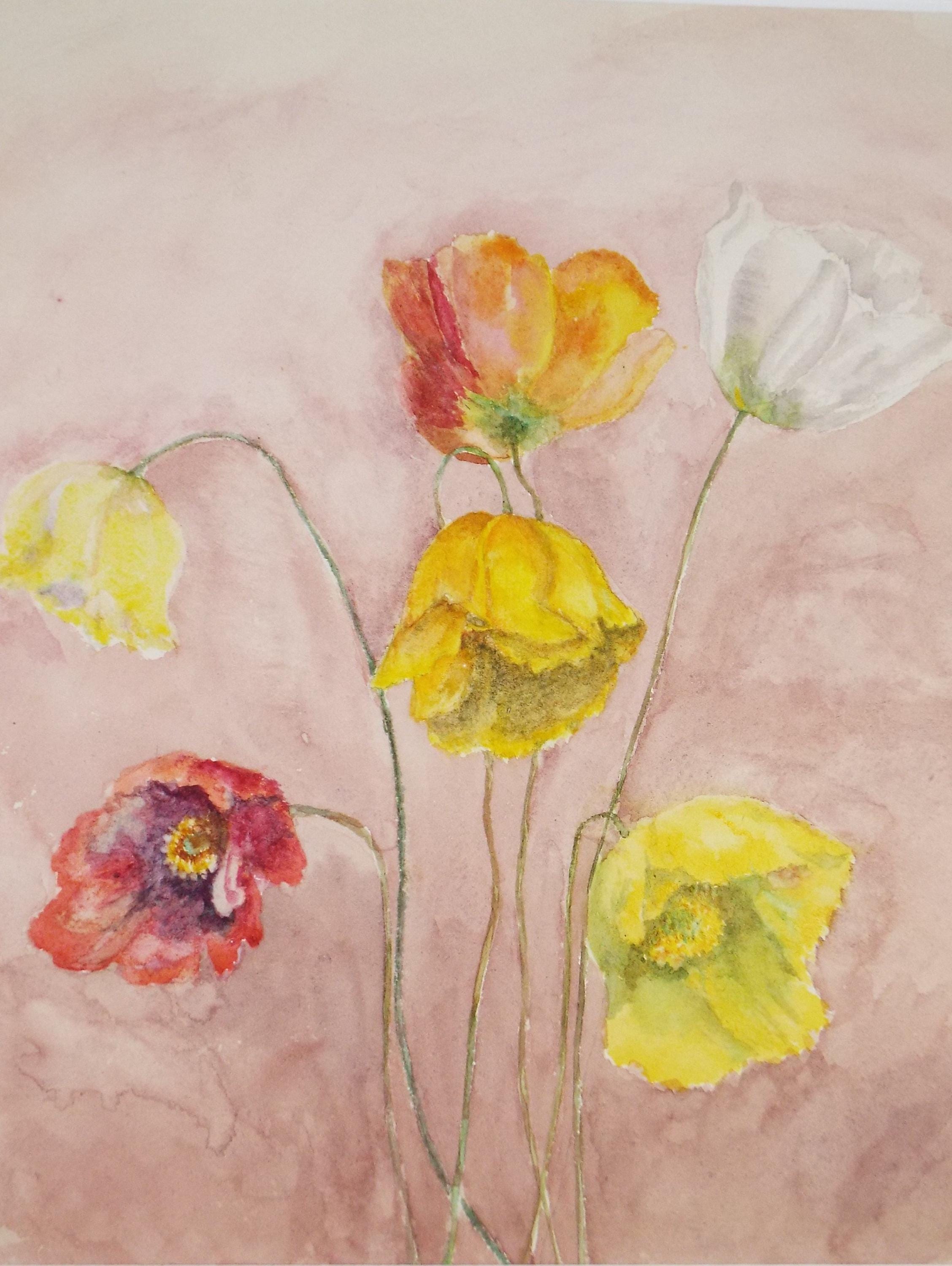 Original Watercolour, 'Study of Poppies' 1980's, unknown artist