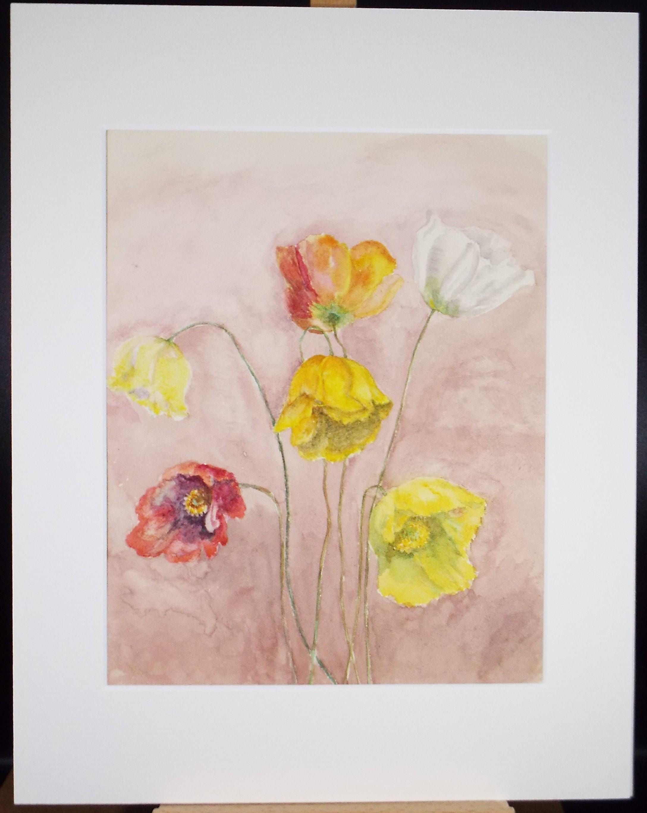 Original Watercolour, 'Study of Poppies' 1980's, unknown artist