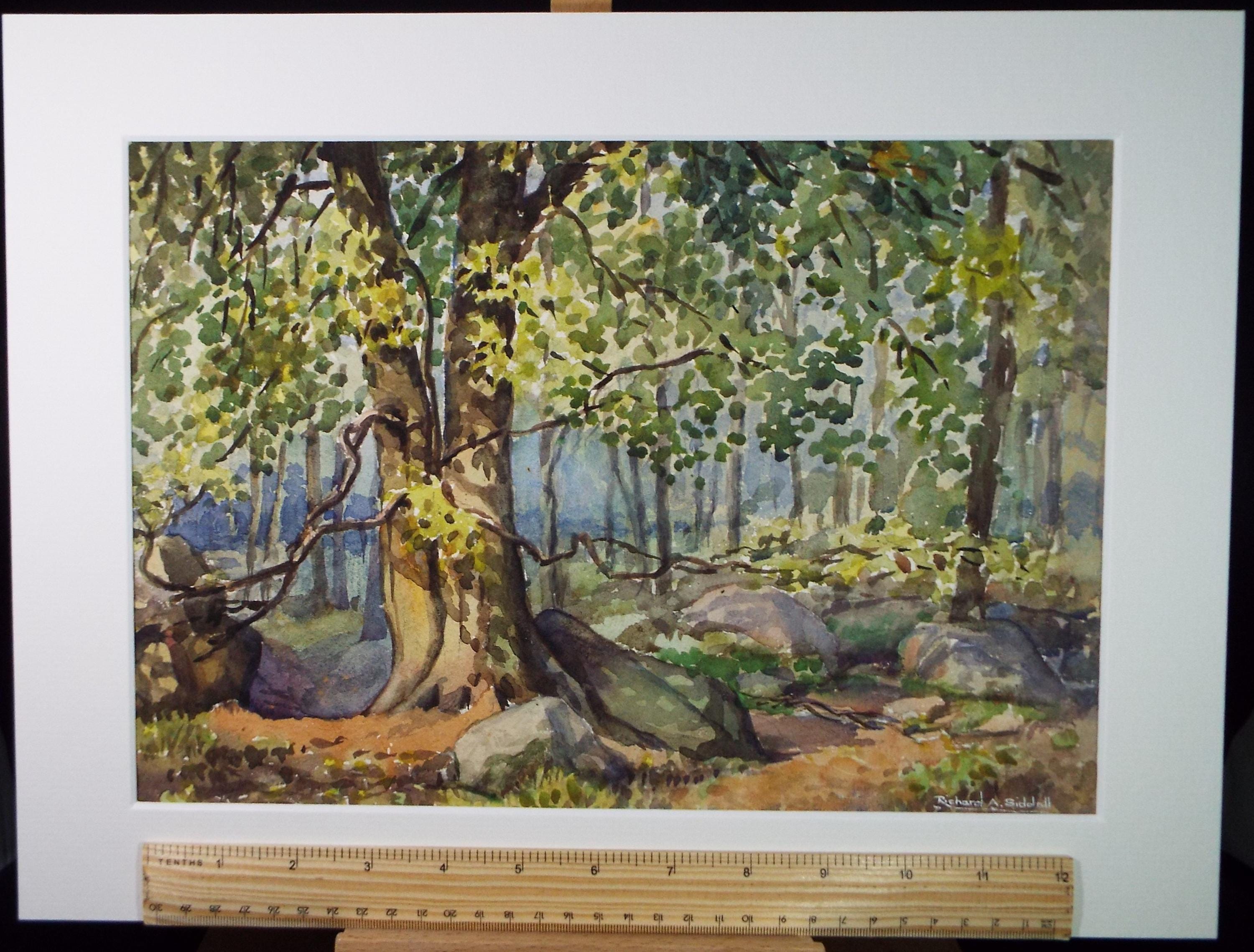 Original Watercolour, 'Woodland', Richard A Siddal, Dated 1953