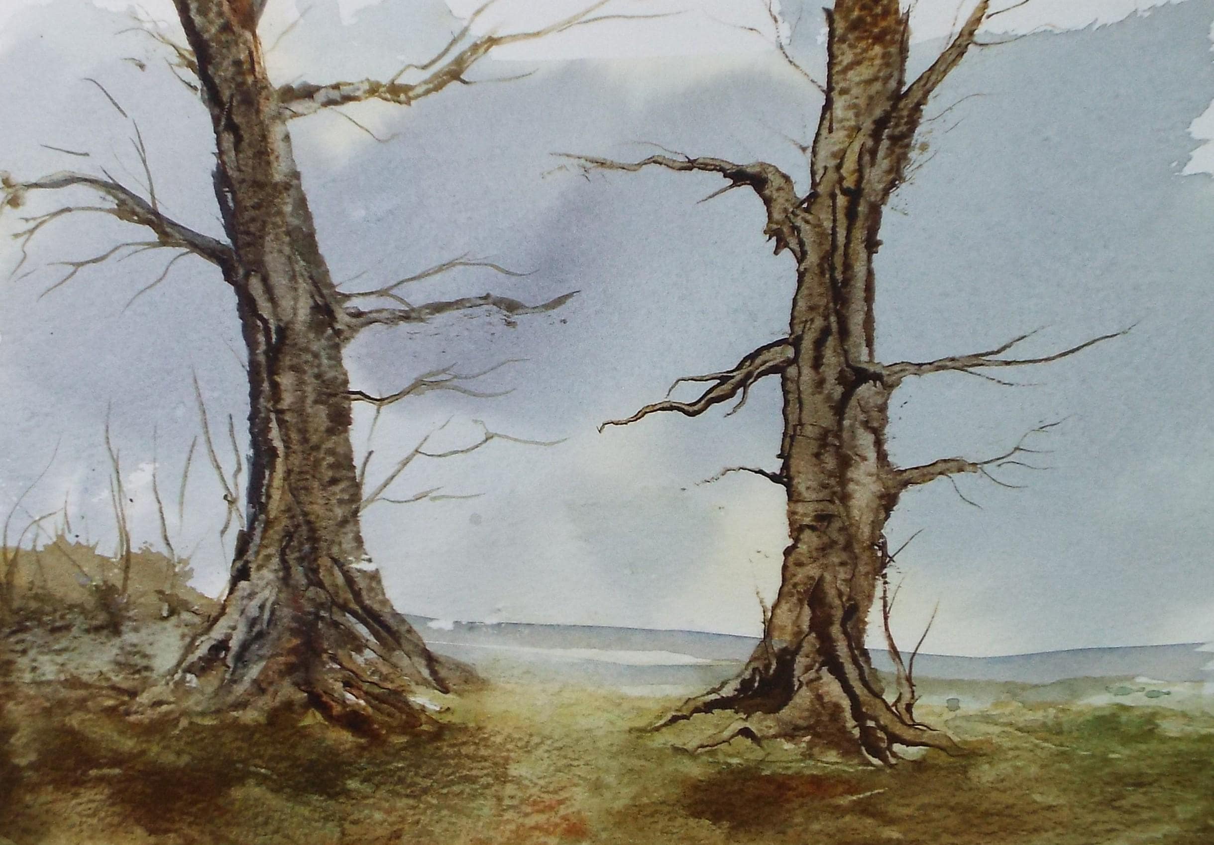 Original Watercolour, 'A Study of Trees', Peter Grimer, Circa 1990's