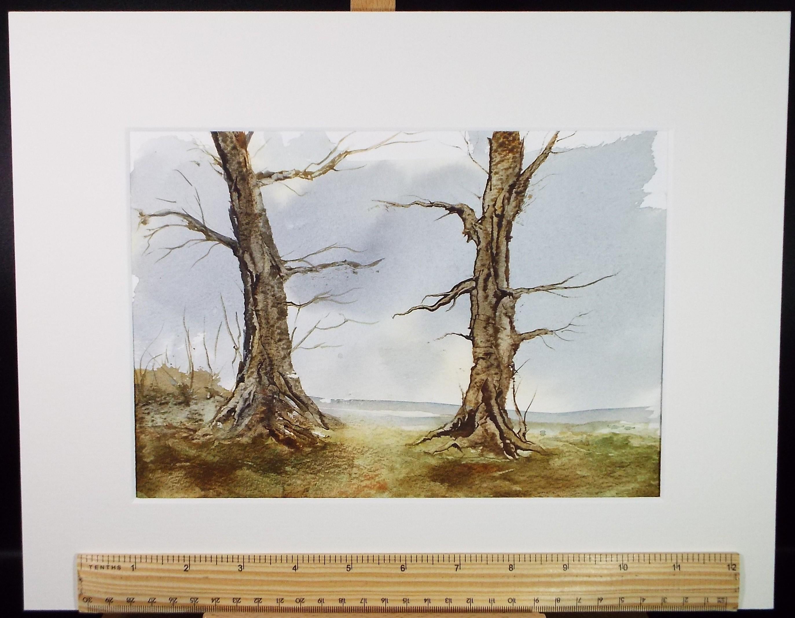 Original Watercolour, 'A Study of Trees', Peter Grimer, Circa 1990's
