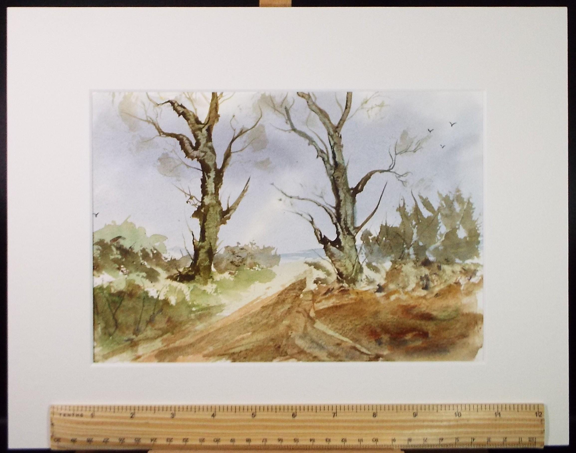 Original Watercolour, 'A Study of Trees', Peter Grimer, Circa 1990's
