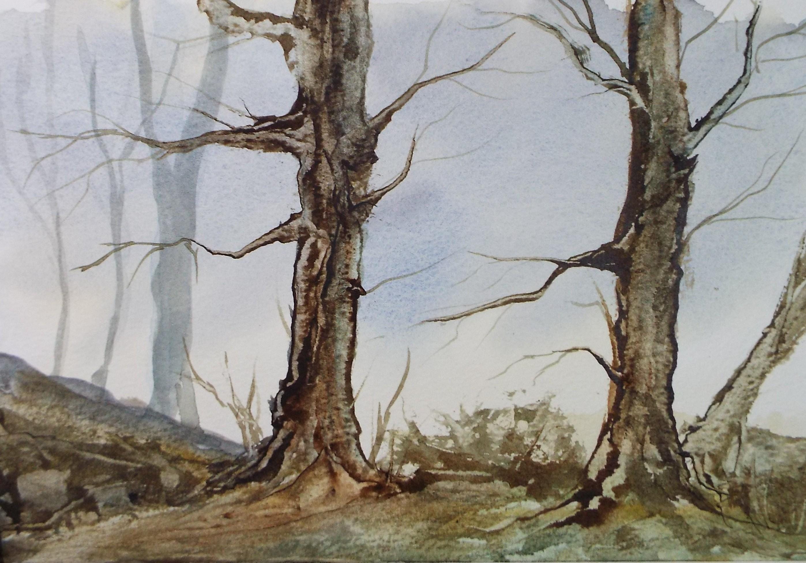 Original Watercolour, 'A Study of Trees', Peter Grimer, Dated 1992