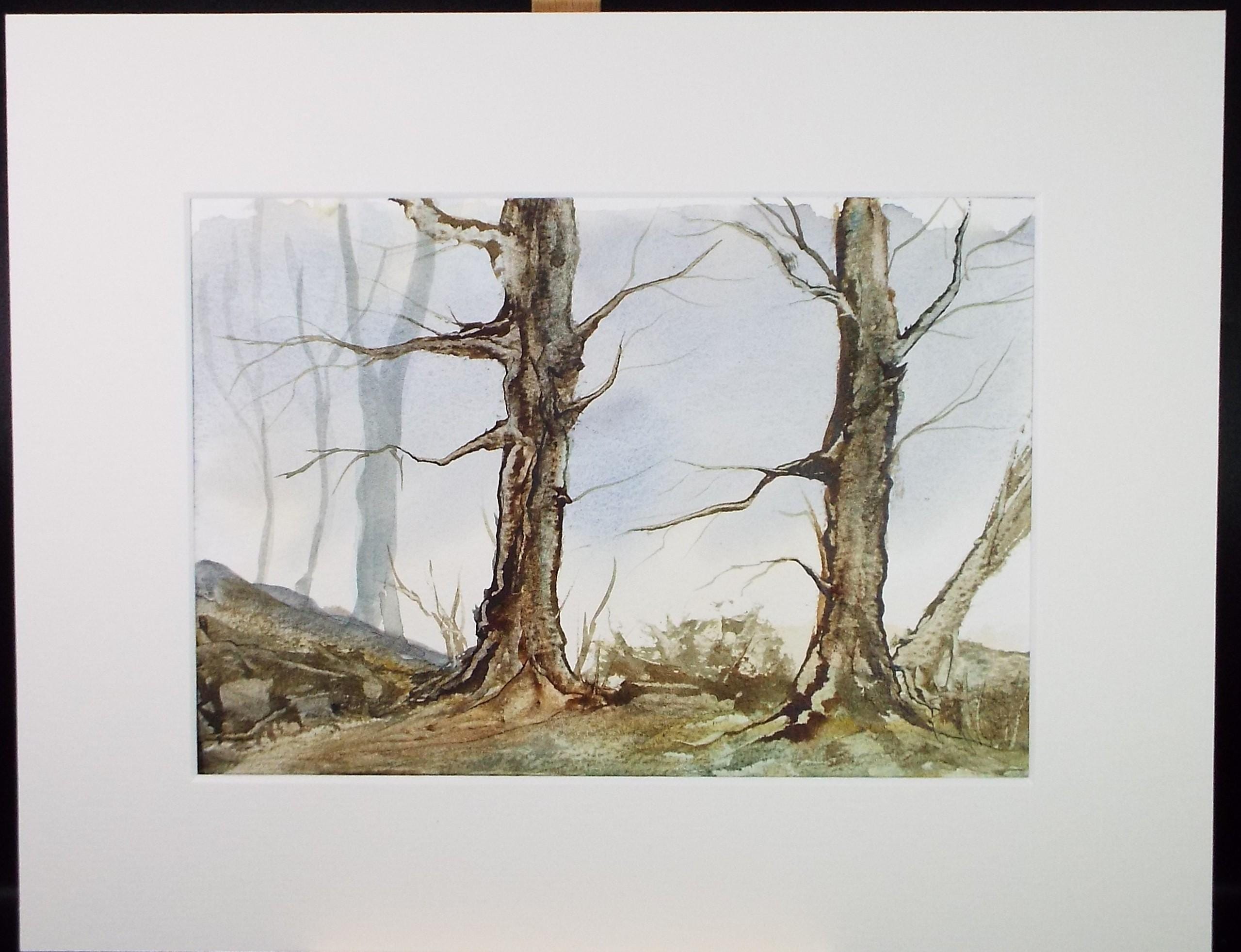 Original Watercolour, 'A Study of Trees', Peter Grimer, Dated 1992