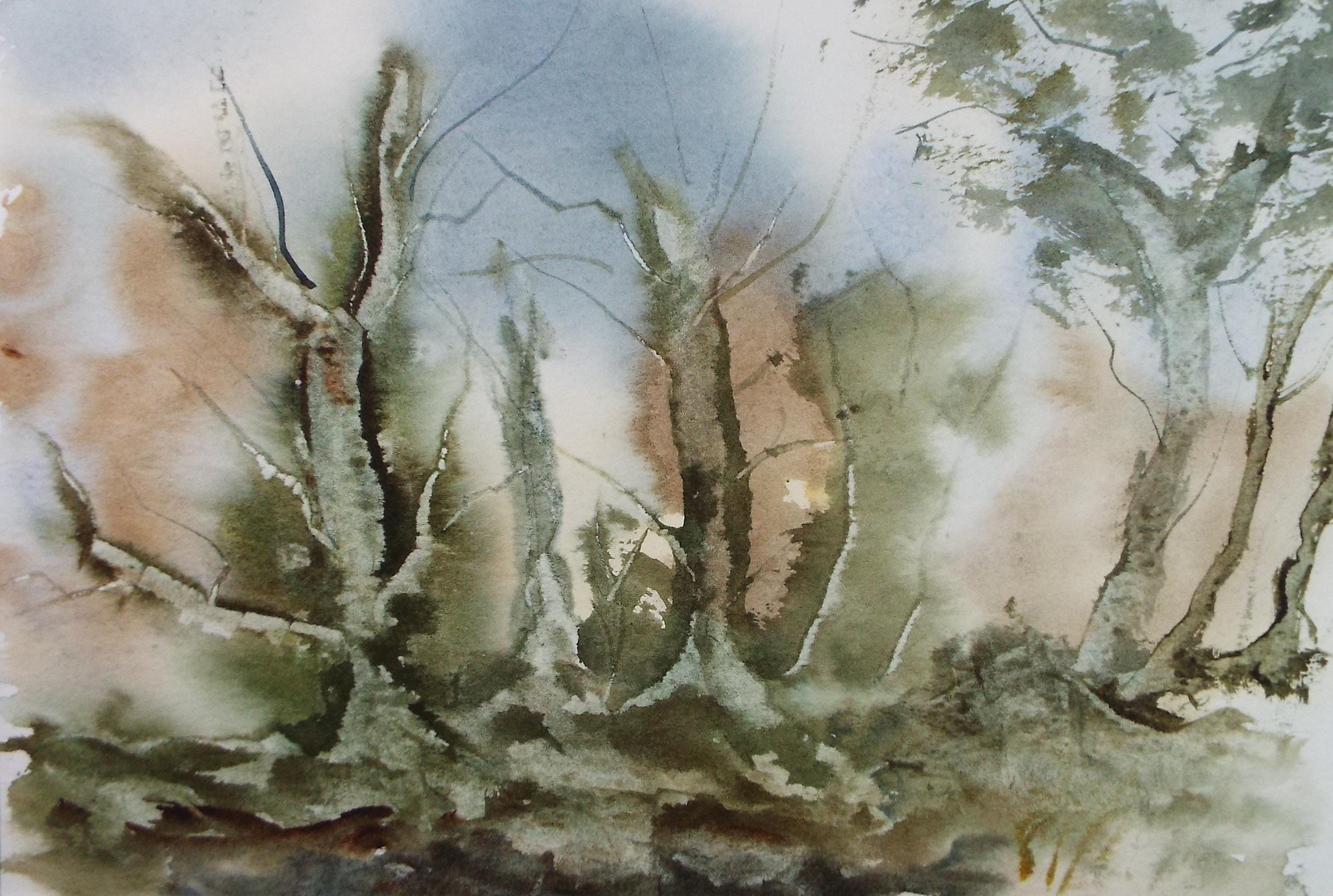Original Watercolour, 'Woodland Study', Peter Grimer, Dated 1992