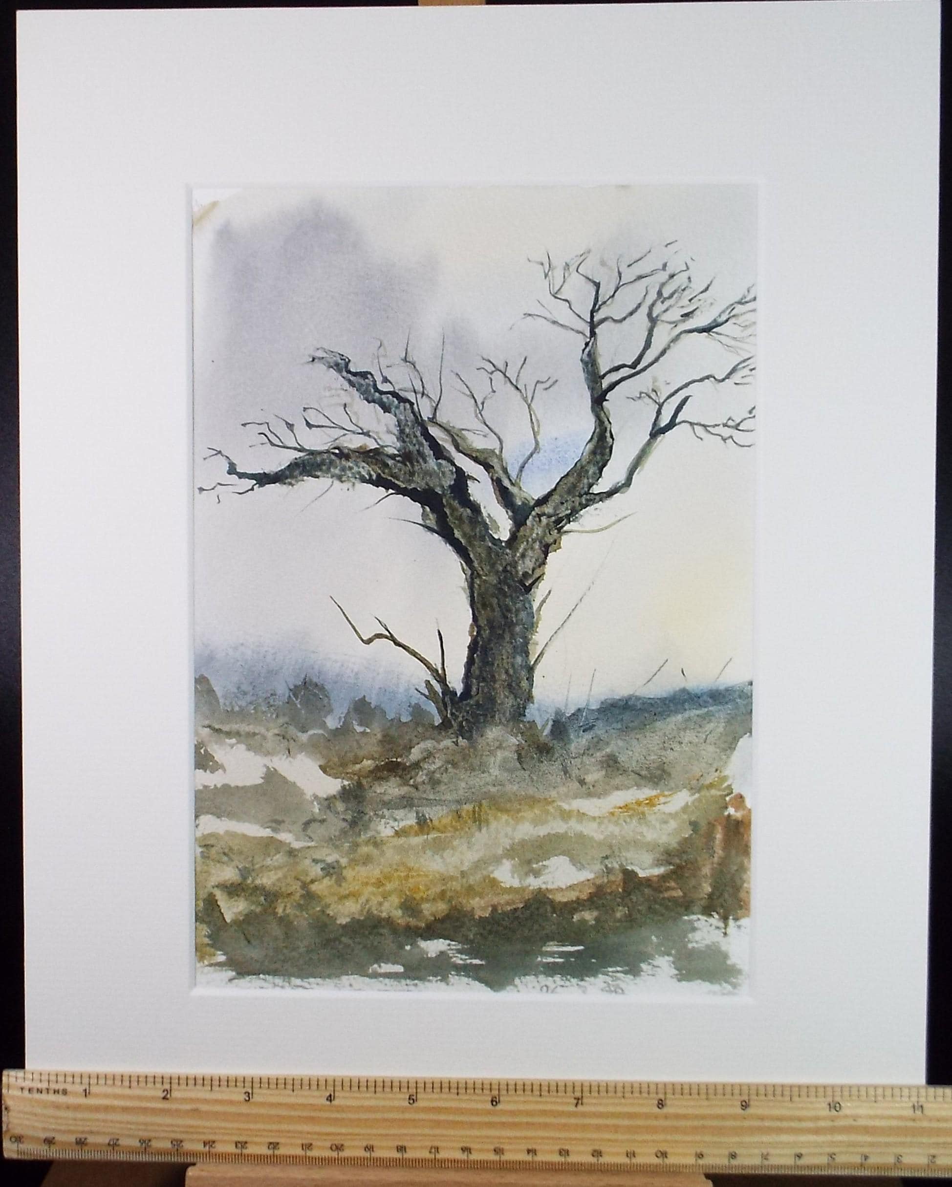 Original Watercolour, 'Tree Study', Peter Grimer, Circa 1990's