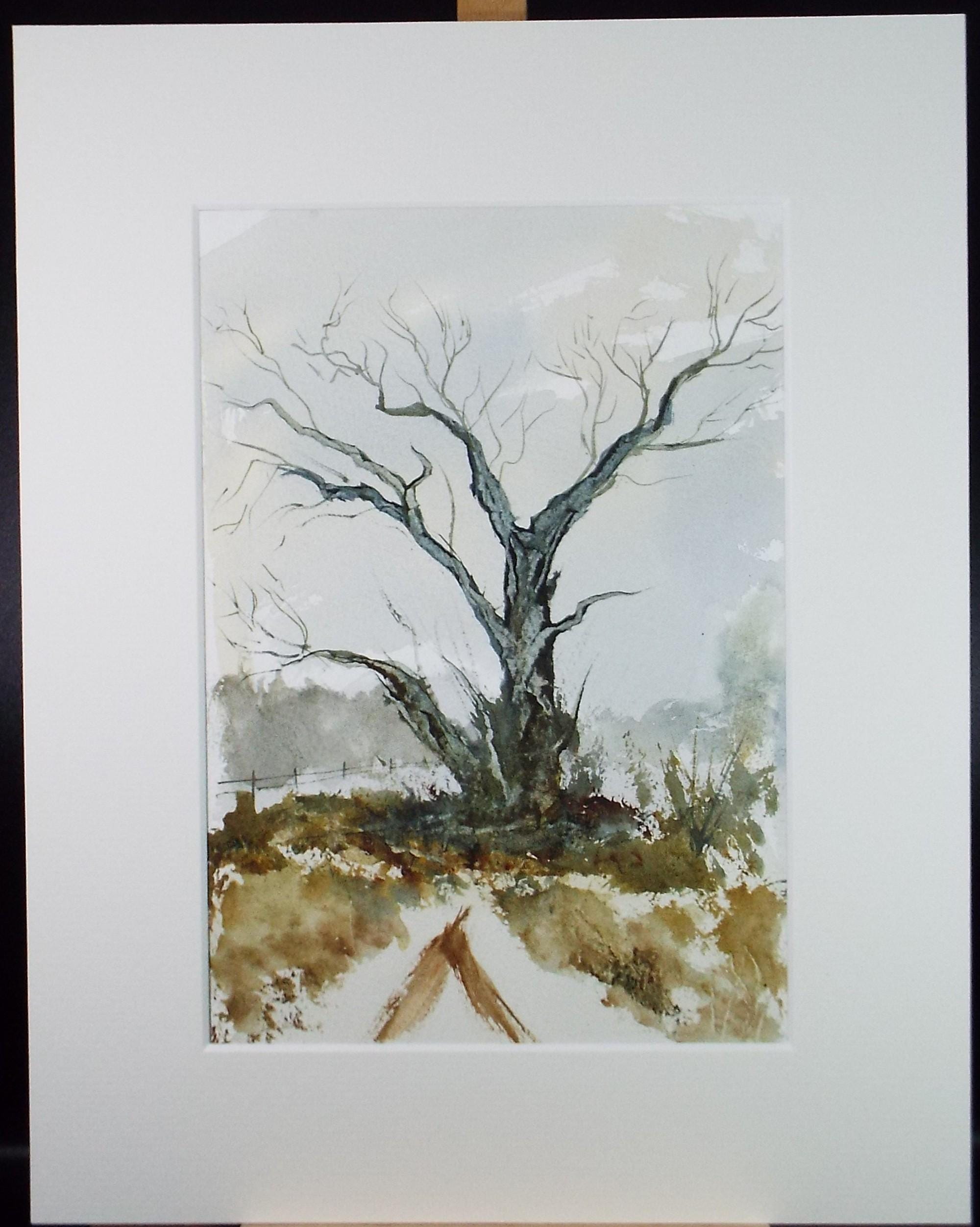 Original Watercolour, 'Tree Study', Peter Grimer, Circa 1990's