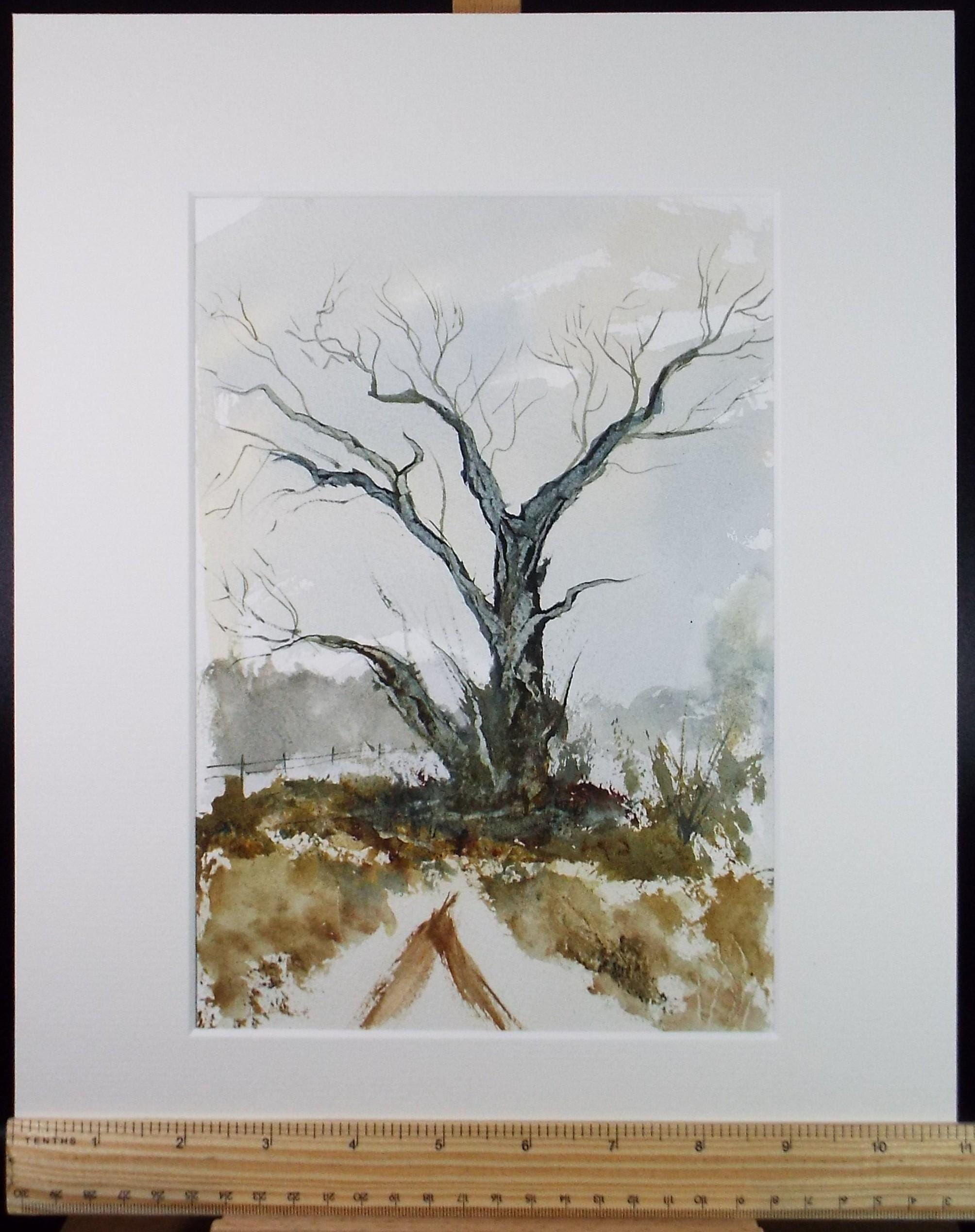 Original Watercolour, 'Tree Study', Peter Grimer, Circa 1990's