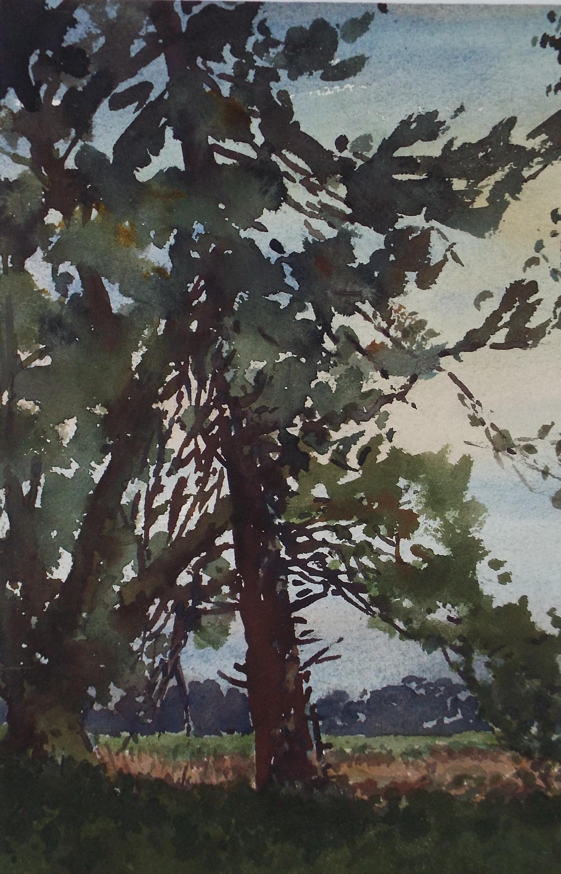 Original Watercolour, 'Tree Study', Henry Potter Stevens (1875-1965) Circa 1950's