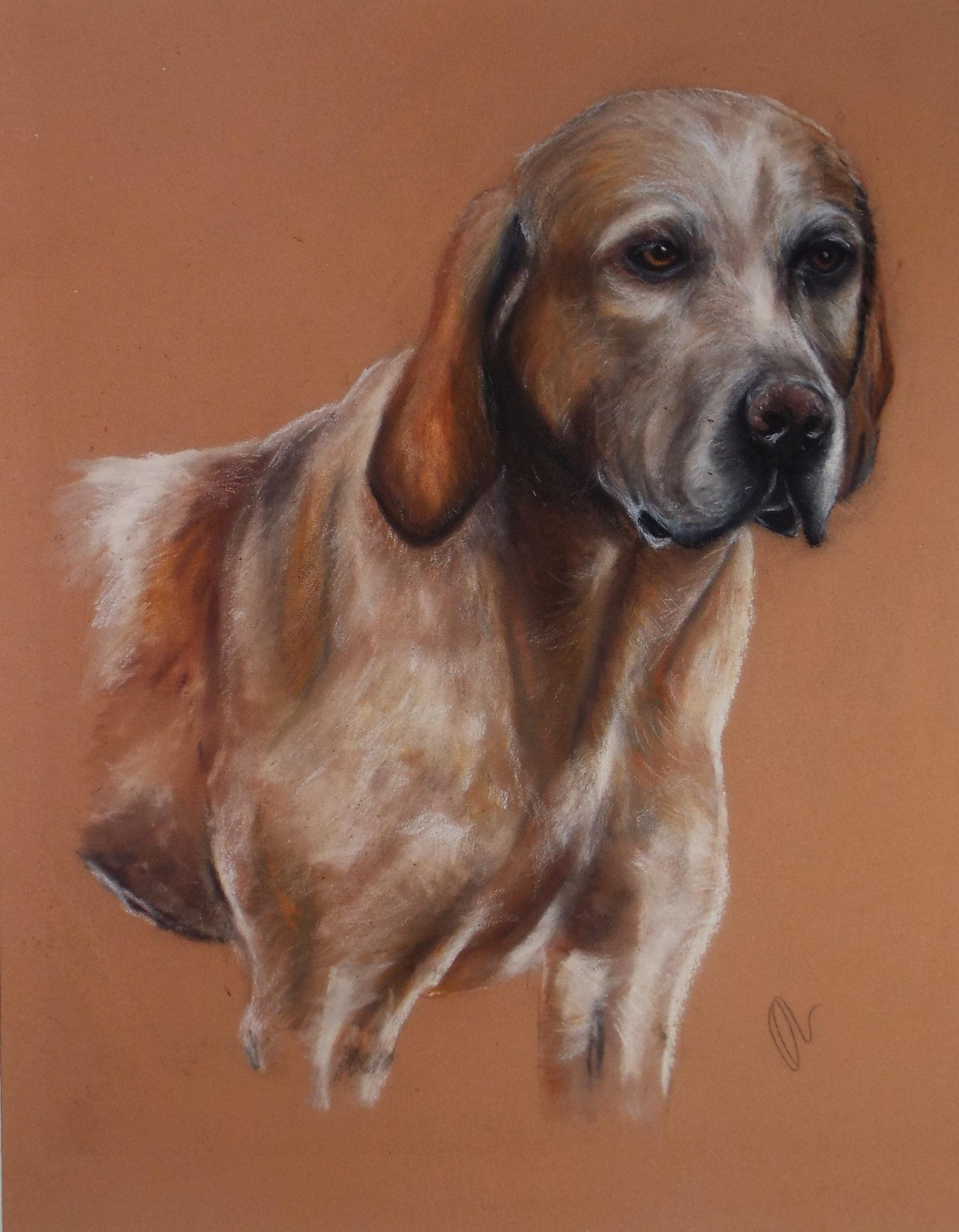 Original Pastel, 'Study of a Labrador', Artist Unknown, Circa 1980's