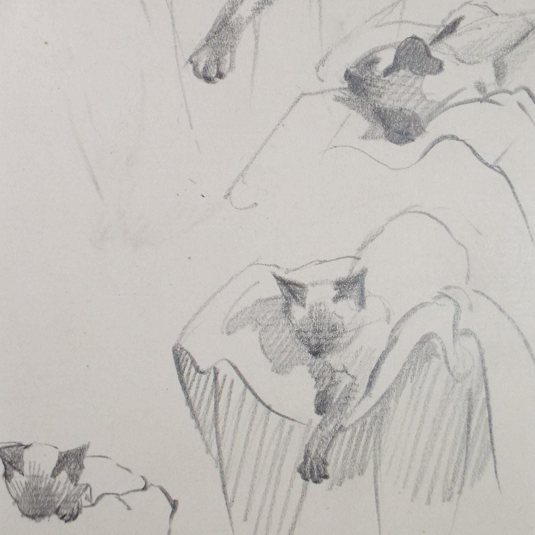 Pencil Drawing, 'Cat Studies', Circa 1950's