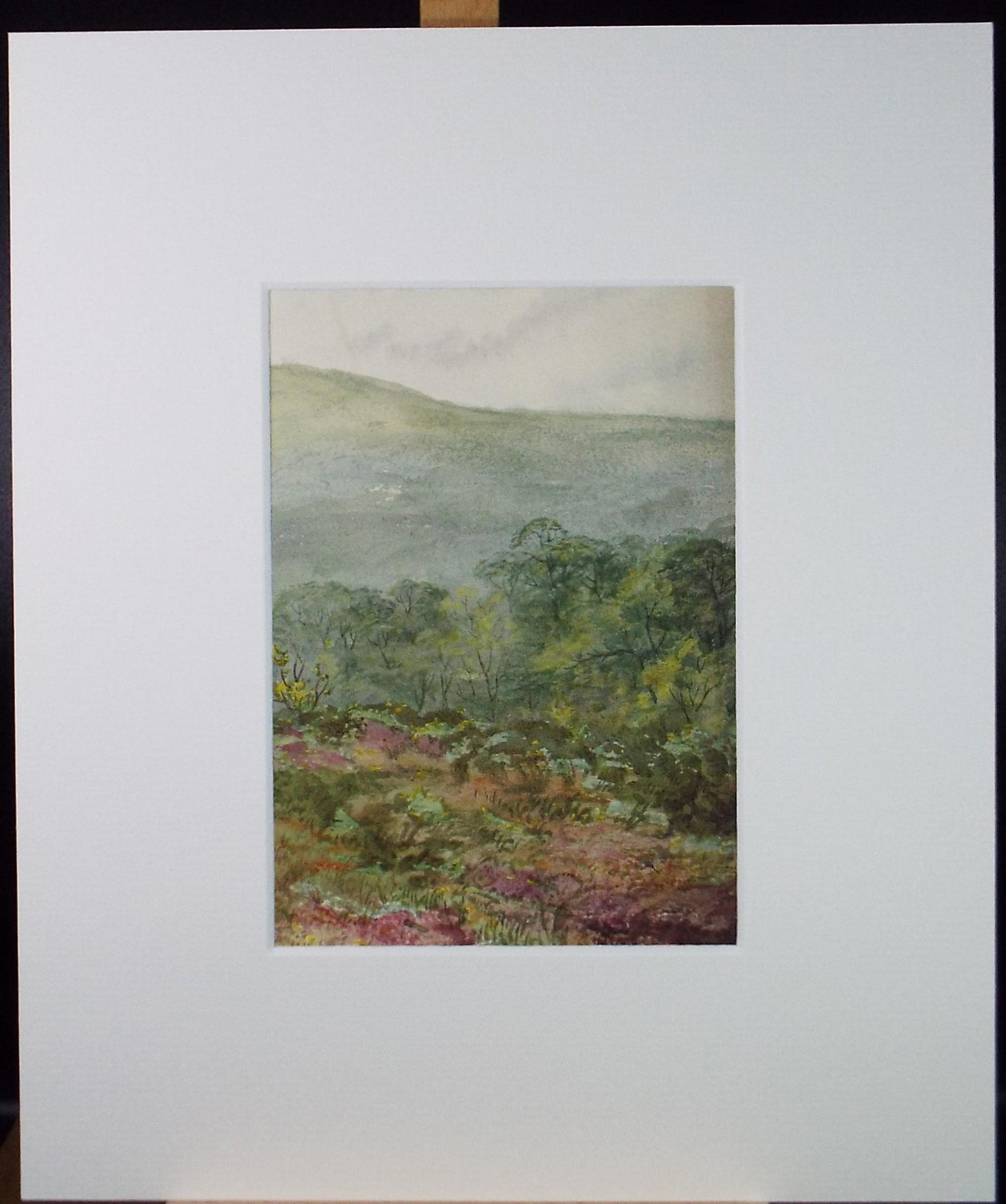 Original Watercolour, 'Green Landscape', Unknown artist, Late 19th Century