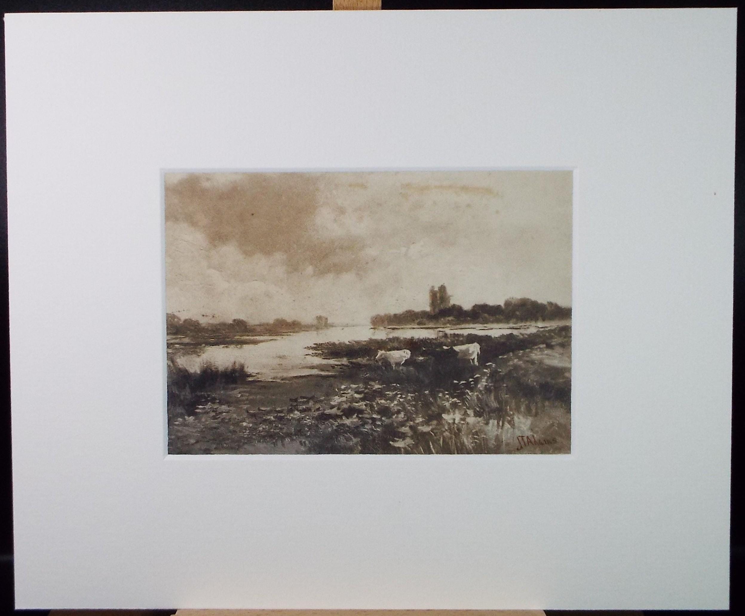 Original Watercolour, 'Cattle on a water meadow', Late 19th Century, J T Adams