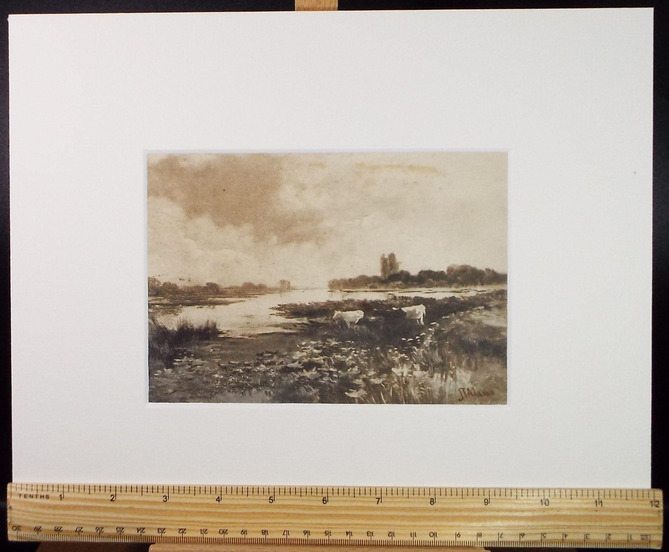 Original Watercolour, 'Cattle on a water meadow', Late 19th Century, J T Adams