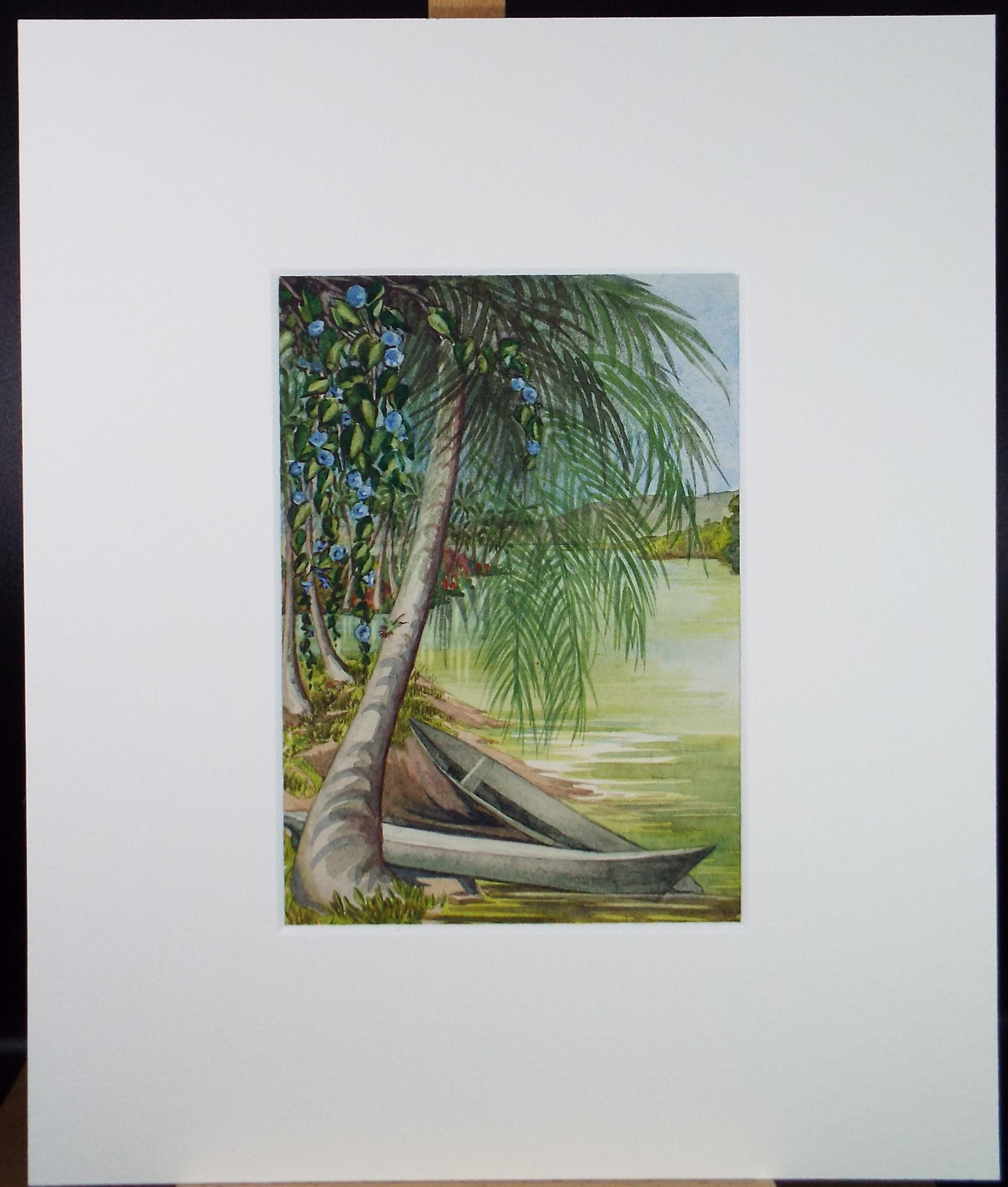 Original Watercolour, 'Dug-outs and Humming birds, Almirante', Circa 1950's, Ivy T. Attwell (1895-1985)