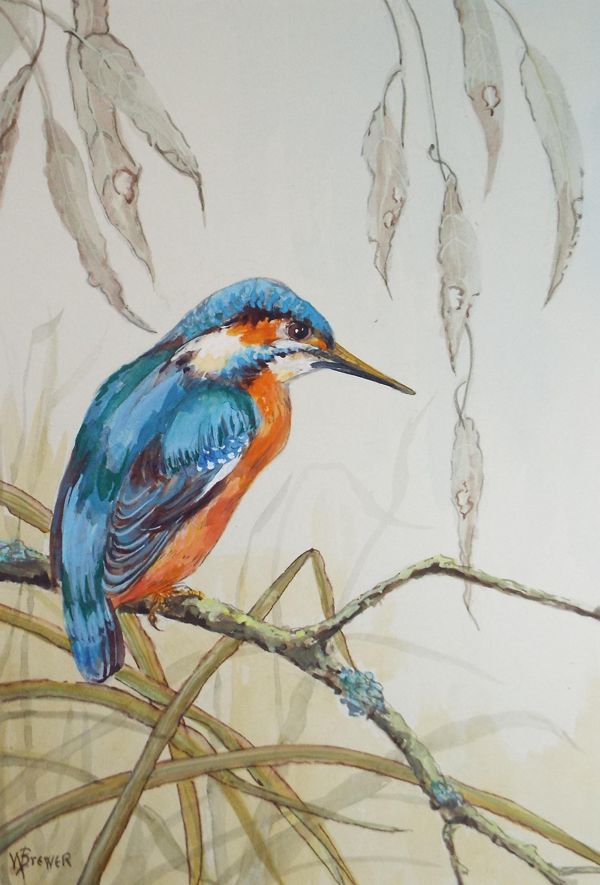 Original watercolour, 'Kingfisher', Circa 1970's, W. Brewer