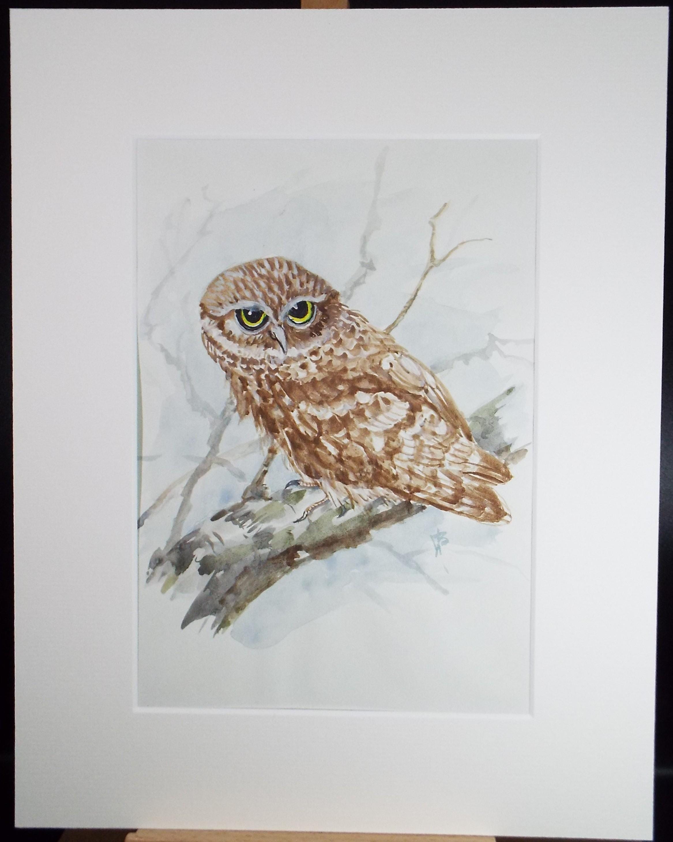 Original watercolour,'Little Owl', Circa 1970's, W. Brewer