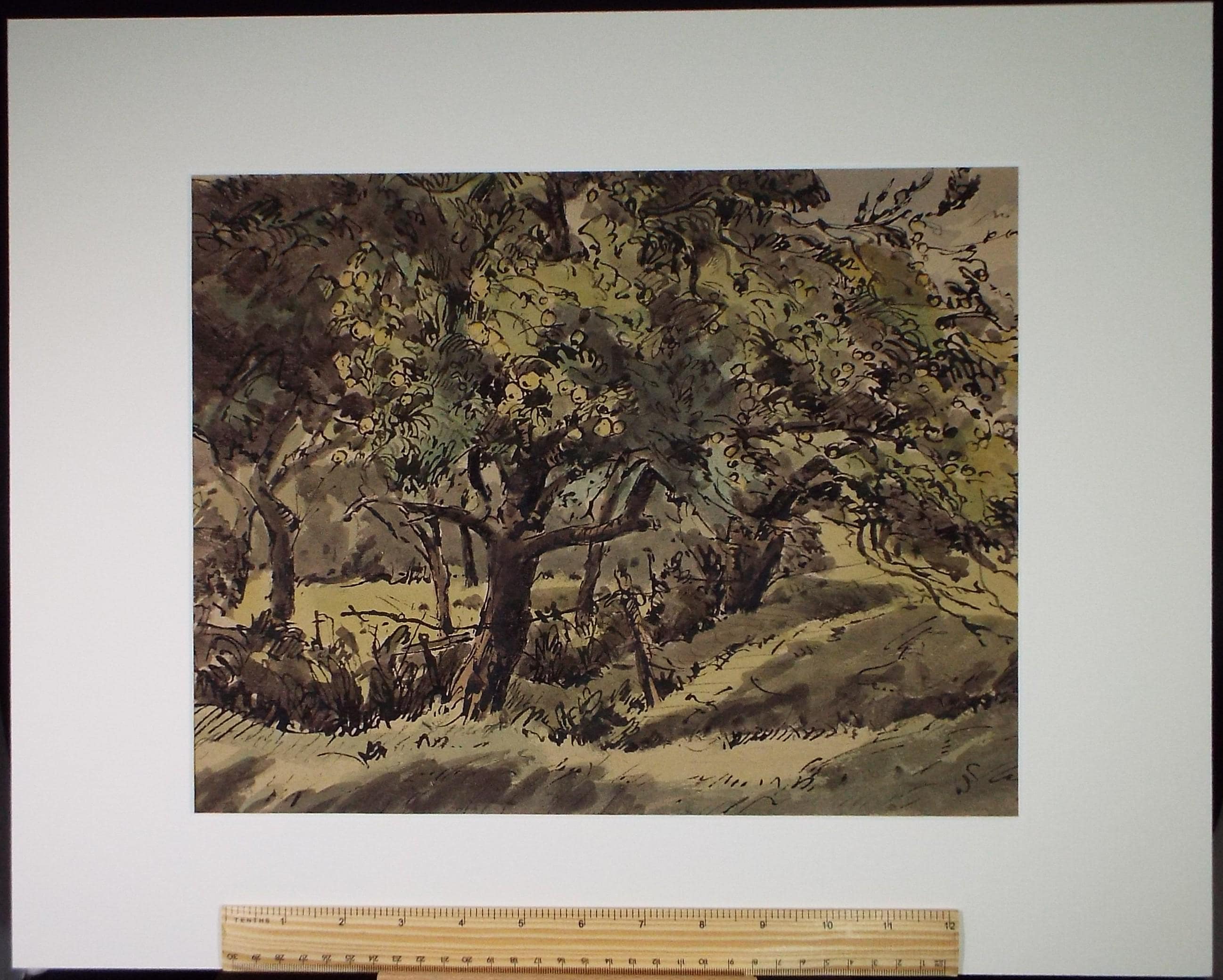 Original Watercolour, 'Trees on a field margin', Edward Eaton Brannan (1886-1957),Circa 1940's