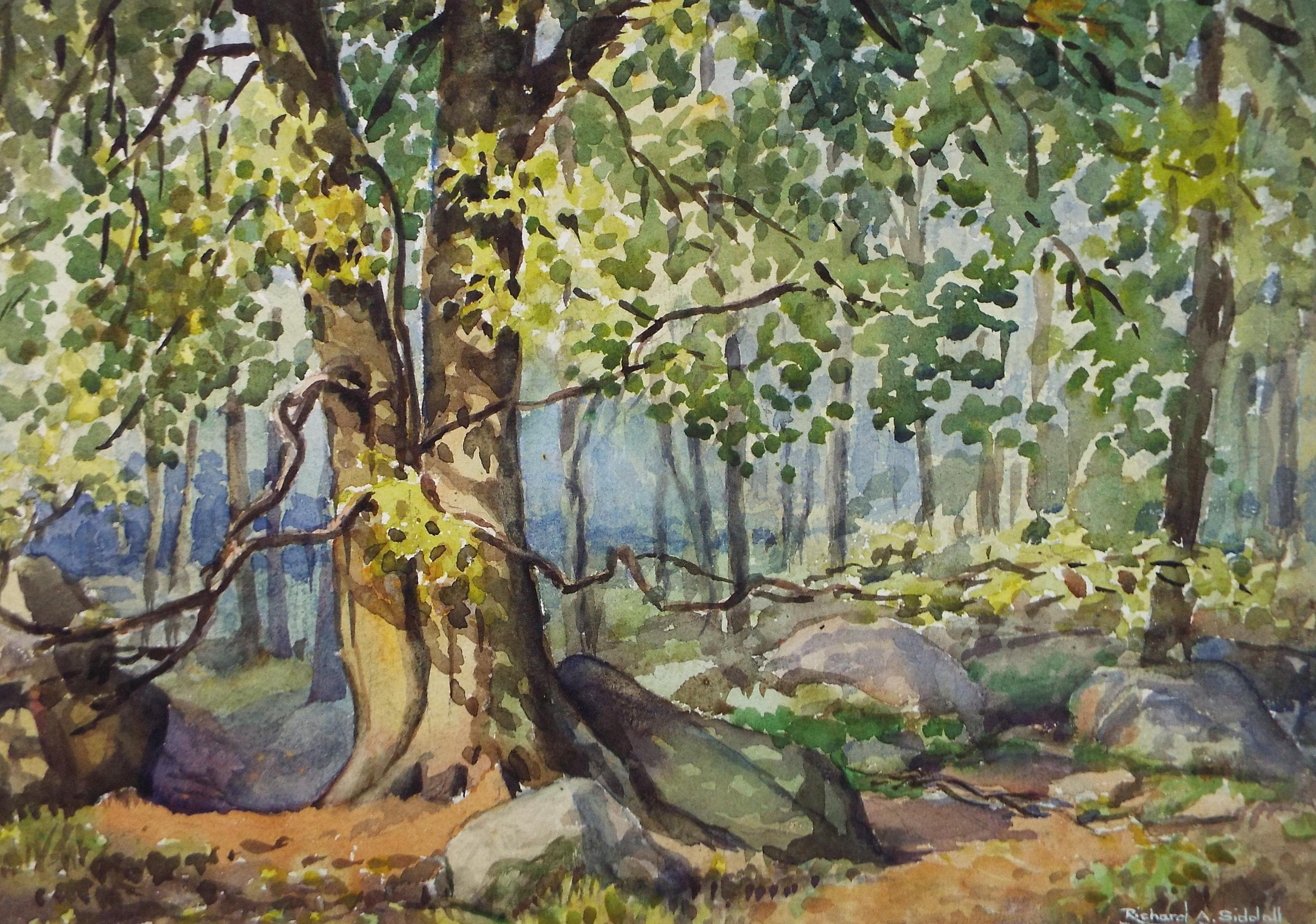 Original Watercolour, 'Woodland', Richard A Siddal, Dated 1953