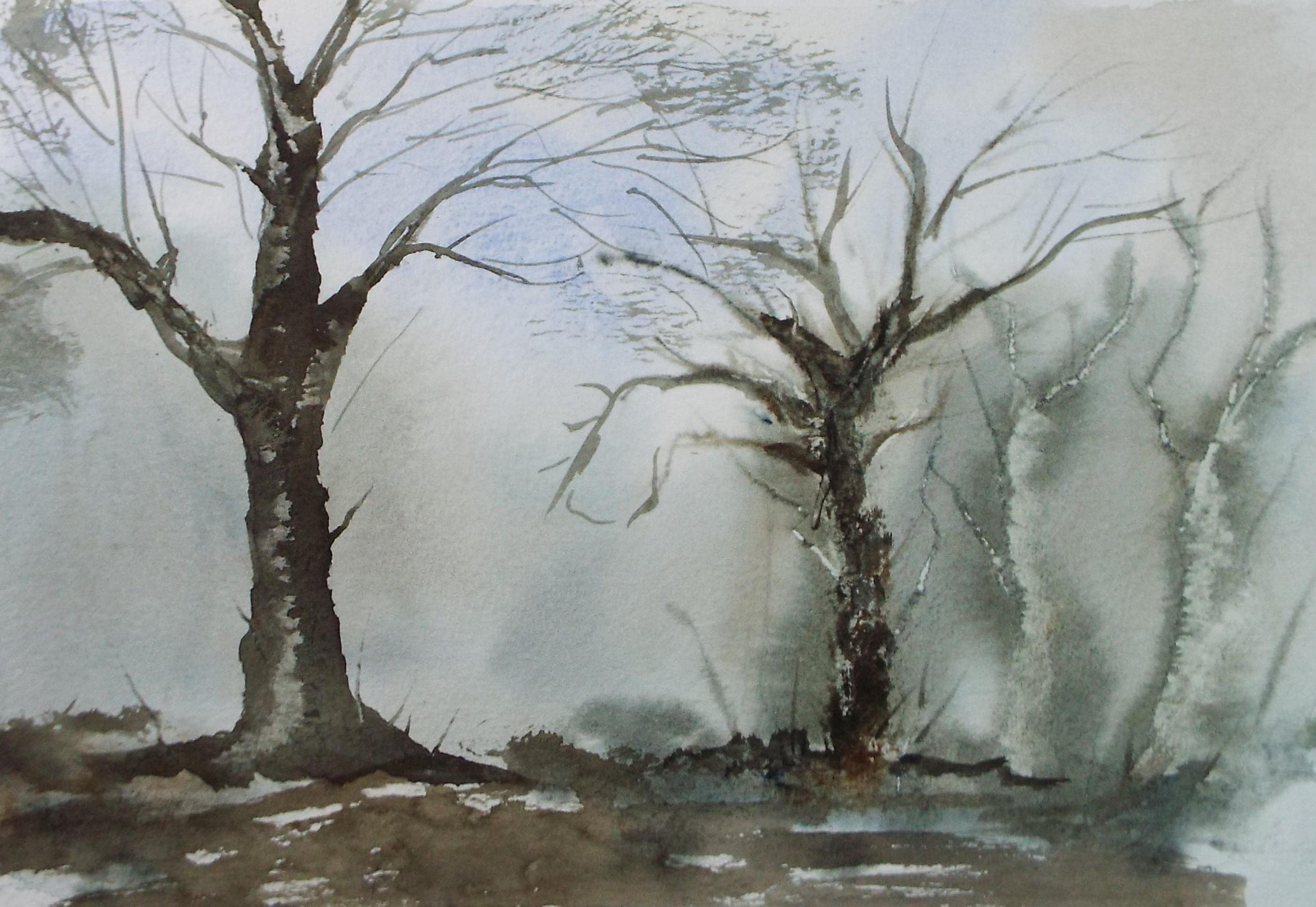 Original Watercolour, 'A Study of Trees', Peter Grimer, Dated 1992