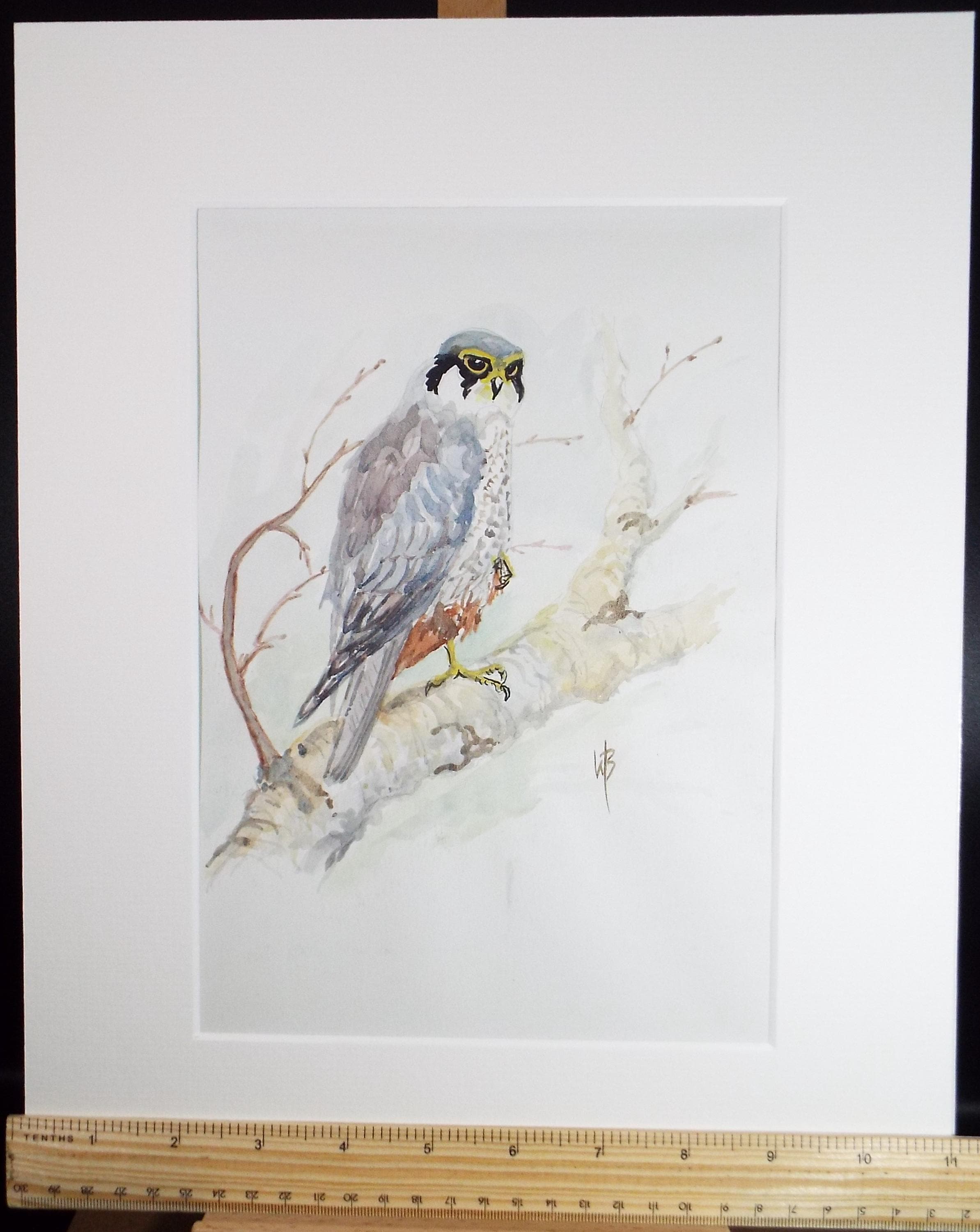 Original watercolour, 'Hobby', Circa 1970's, W. Brewer