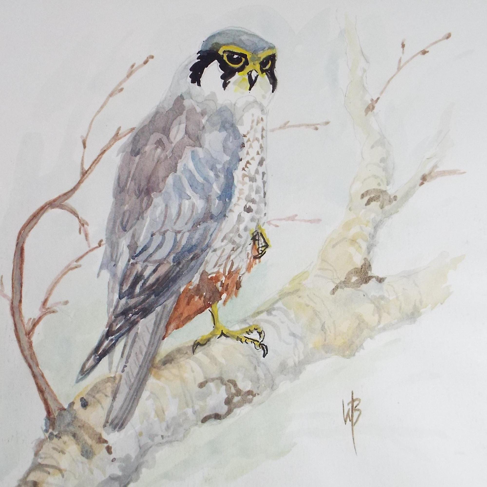 Original watercolour, 'Hobby', Circa 1970's, W. Brewer