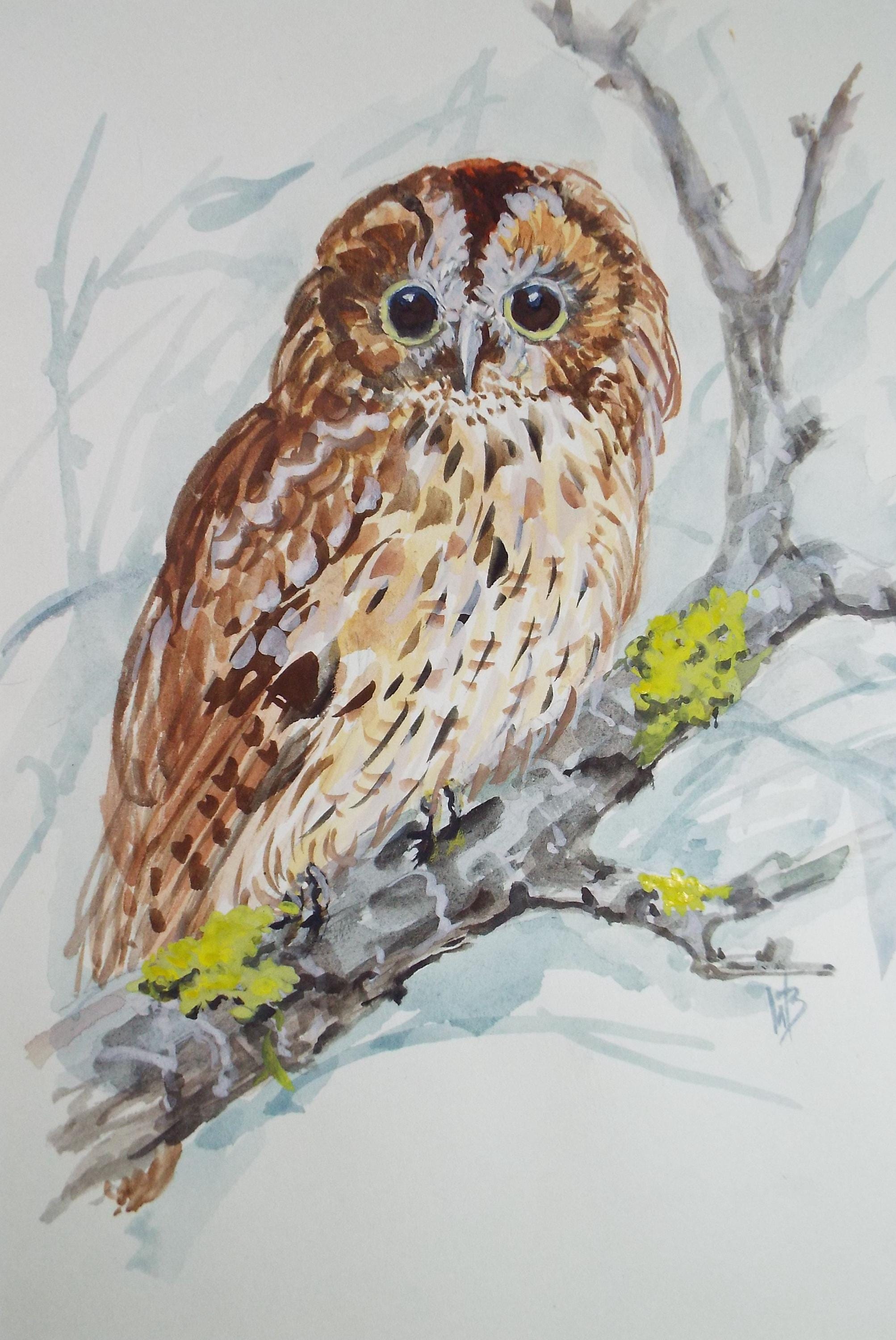Original watercolour,'Tawny Owl', Circa 1970's, W. Brewer