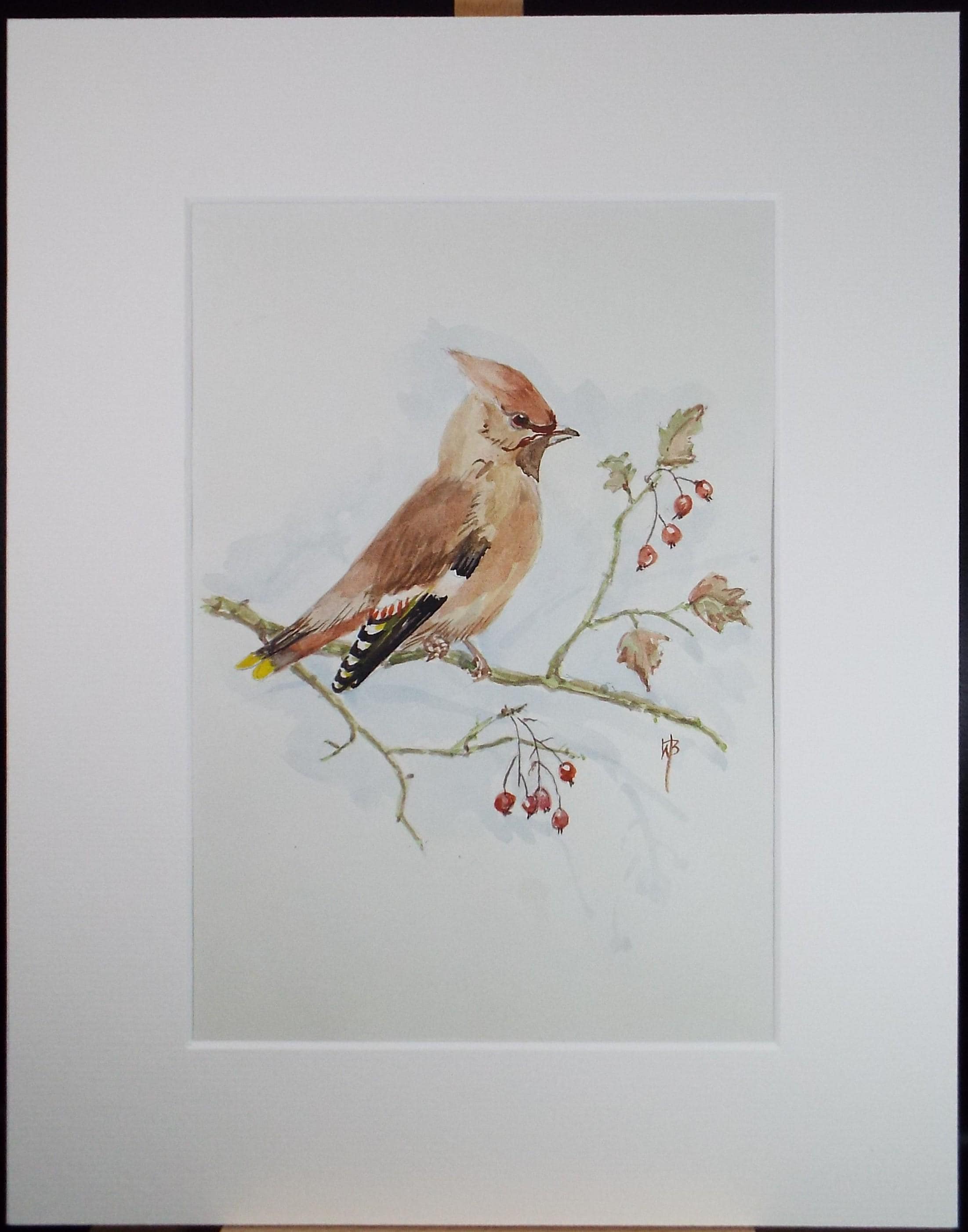 Original watercolour,'Waxwing' Circa 1970's, W. Brewer