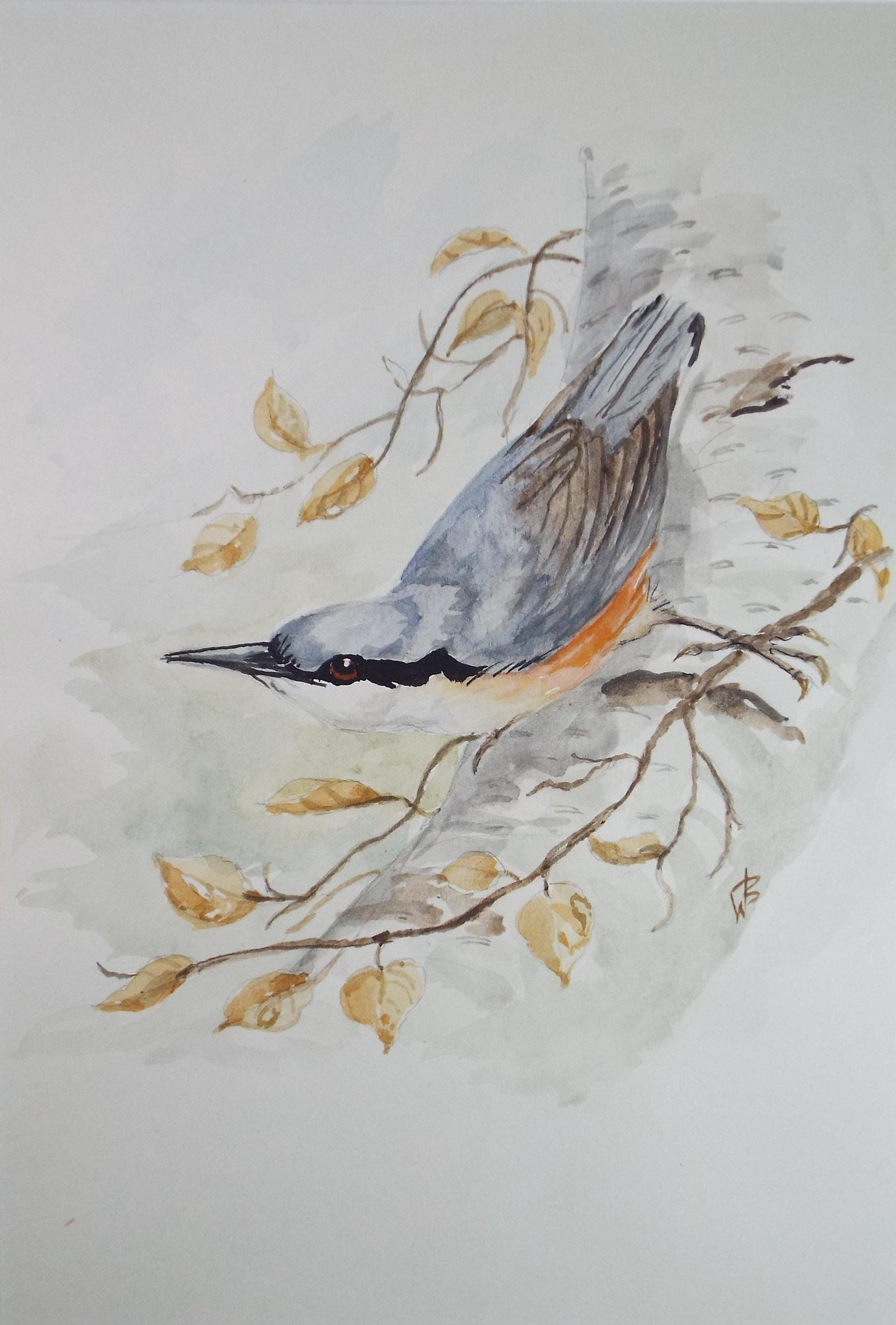 Original watercolour, 'Nutchatch', Circa 1970's, W. Brewer